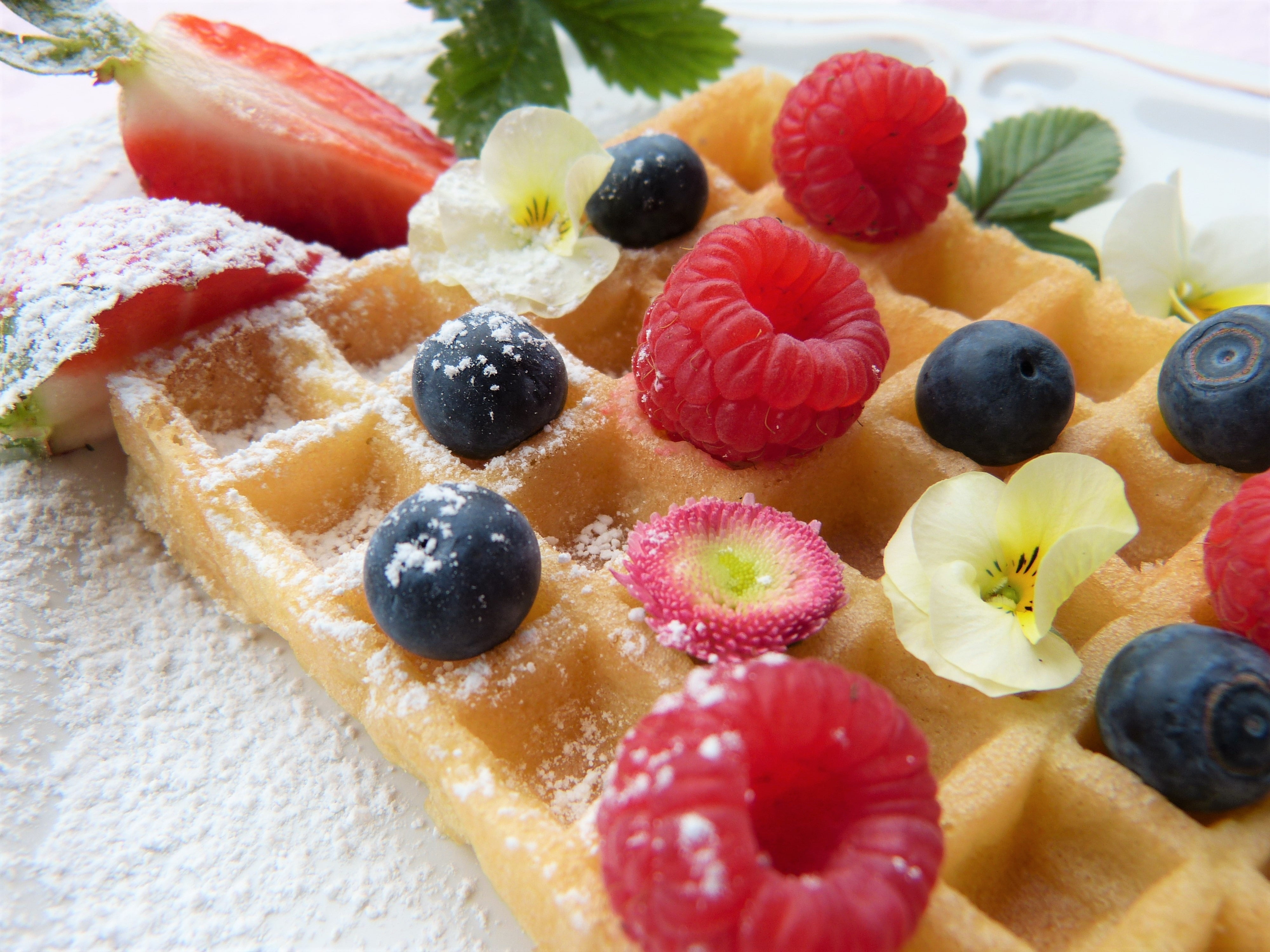 Belgian waffle with berries, raspberry, blueberry, powder, food