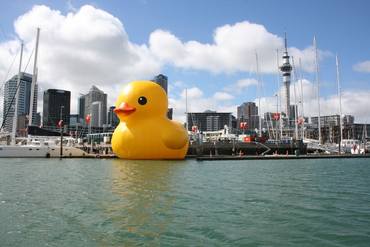 giant inflatable artwork rubber ducks 1200x800  Animals Ducks HD Art