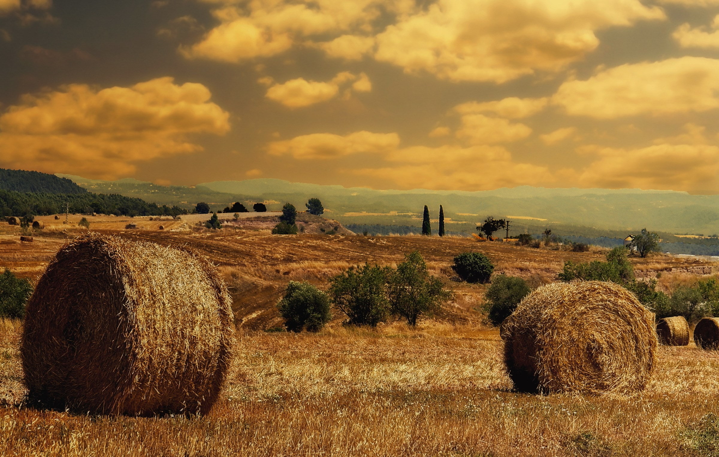 haystack