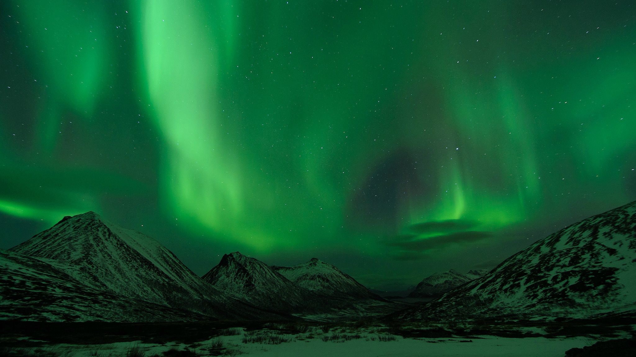 Aurorae