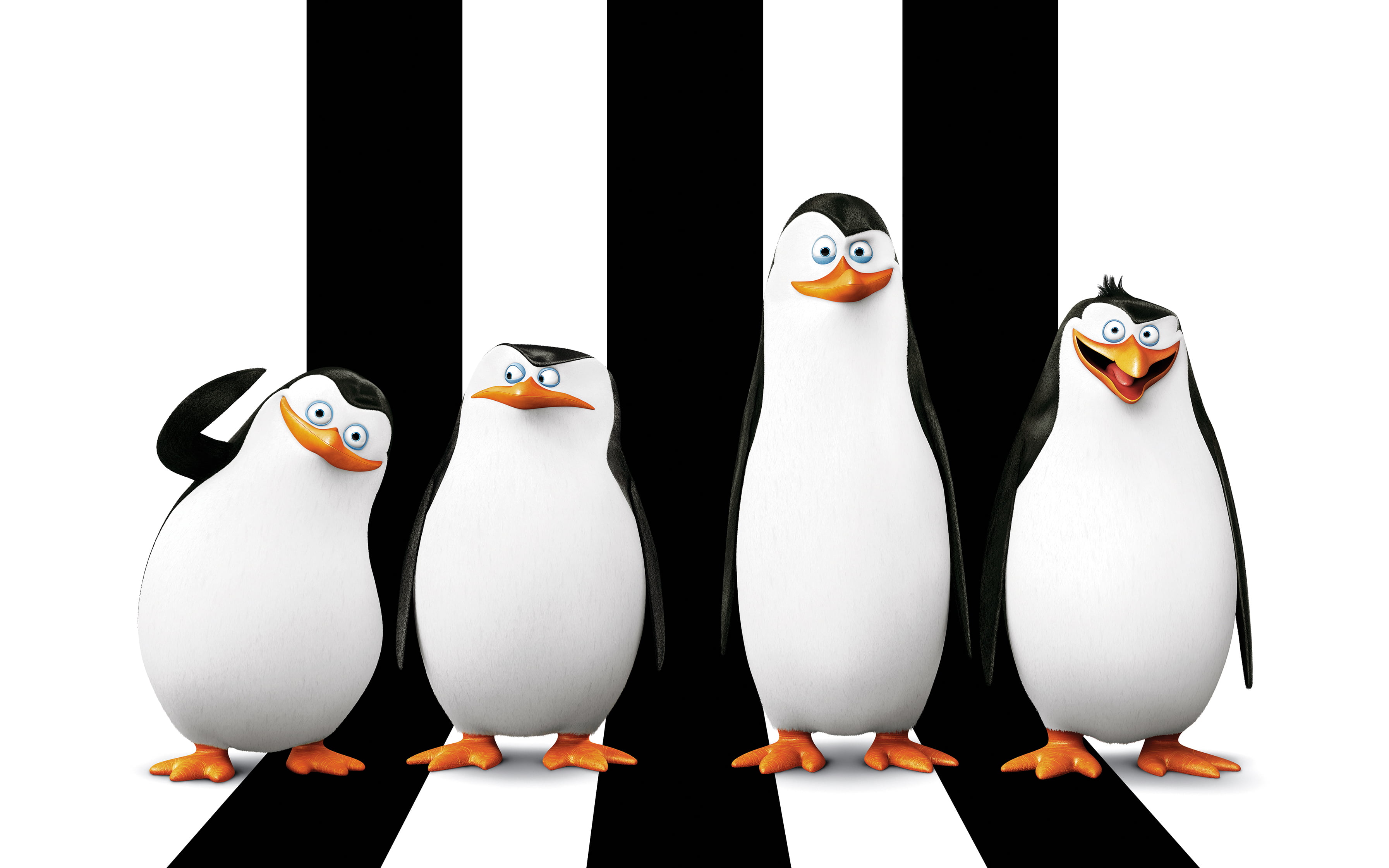 Free Download Hd Wallpaper Penguin Of Madagascar Illustration Cartoon Rico Skipper