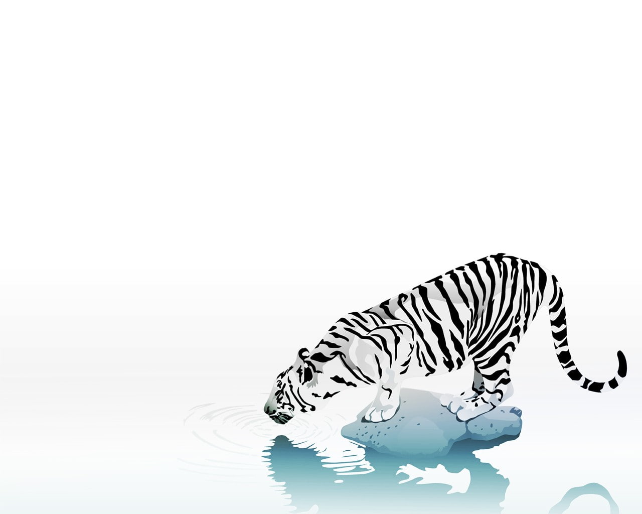 tiger, white background, animals, simple background
