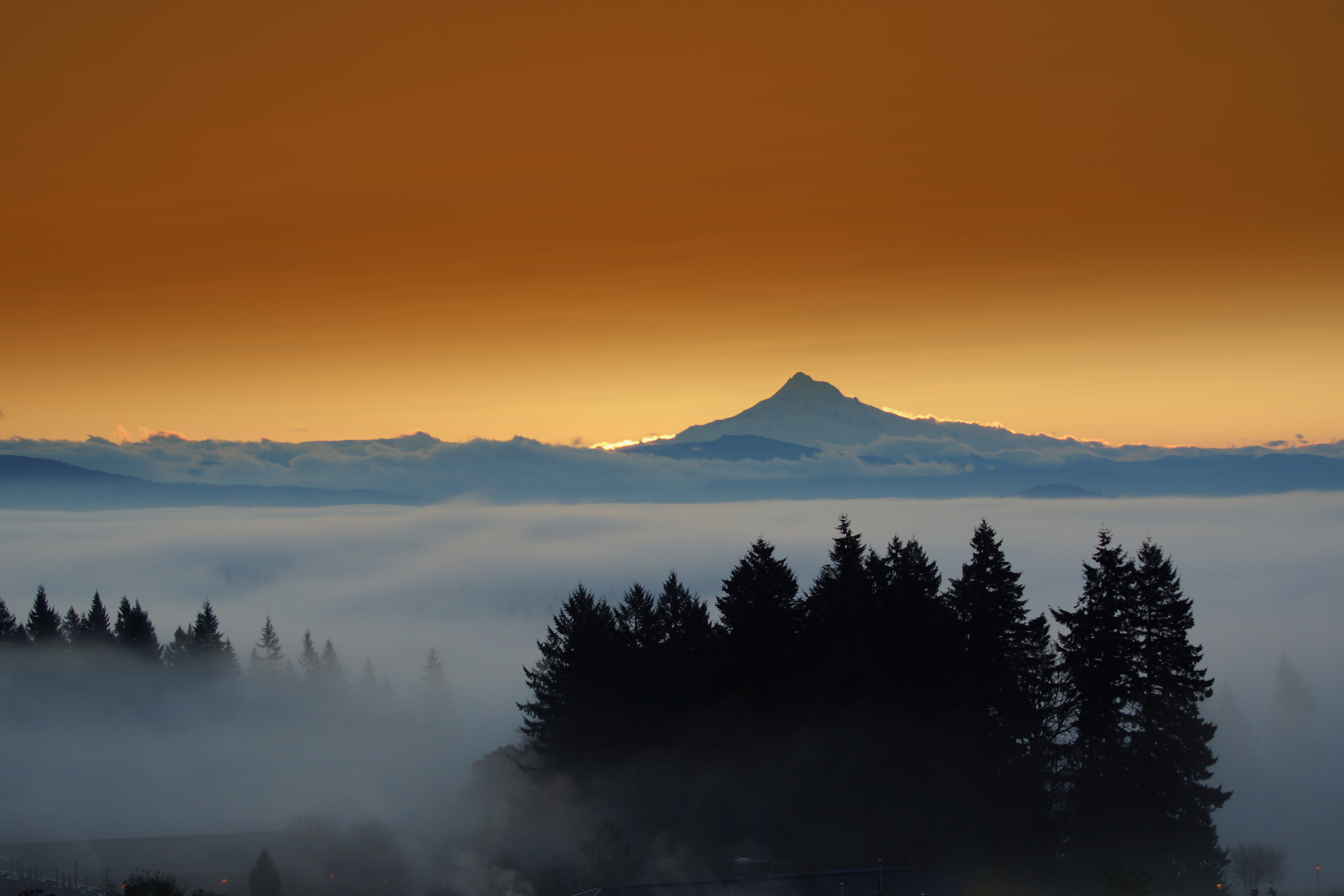 forest, mountains, the city, lights, fog, the evening, mount Hood