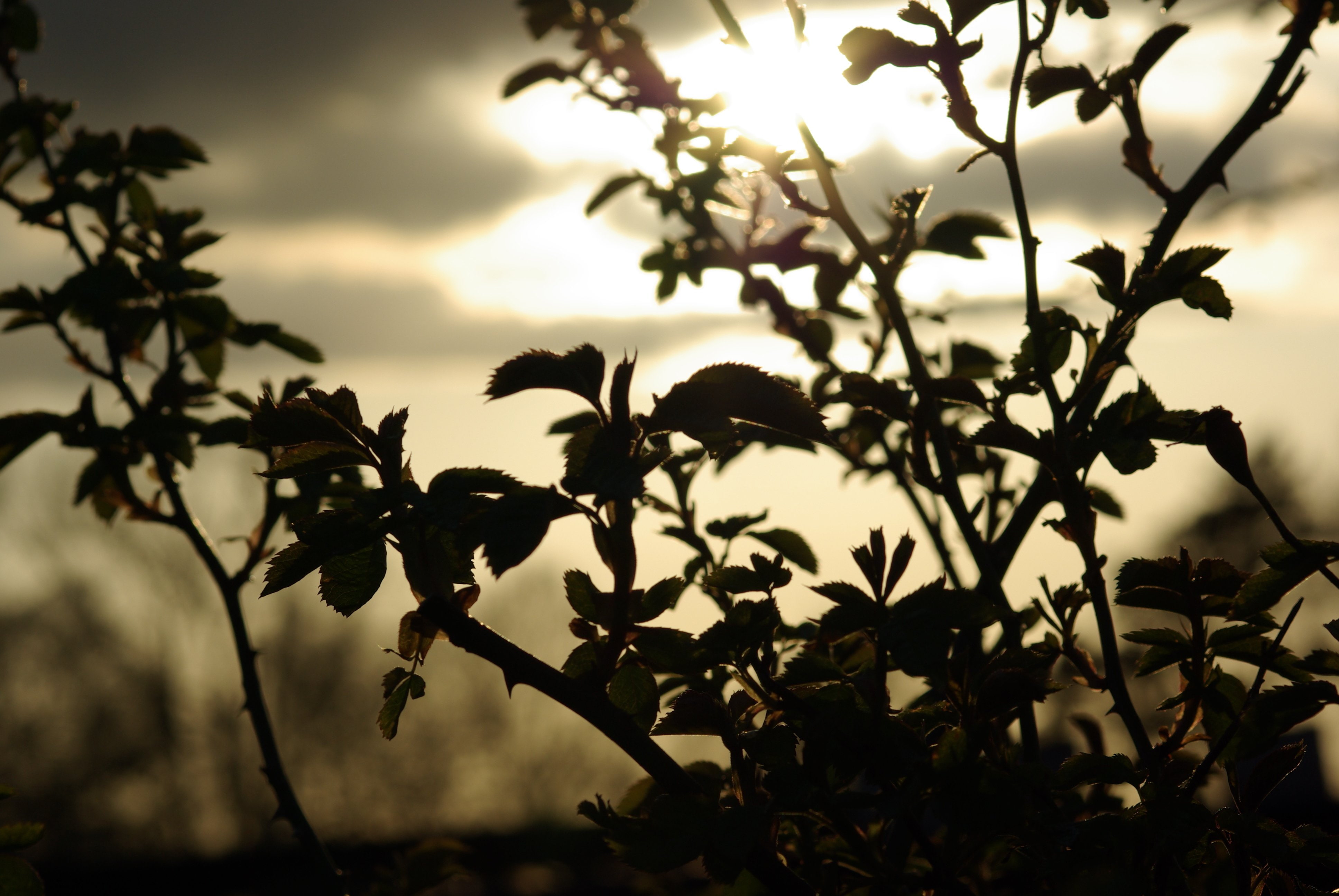 abend