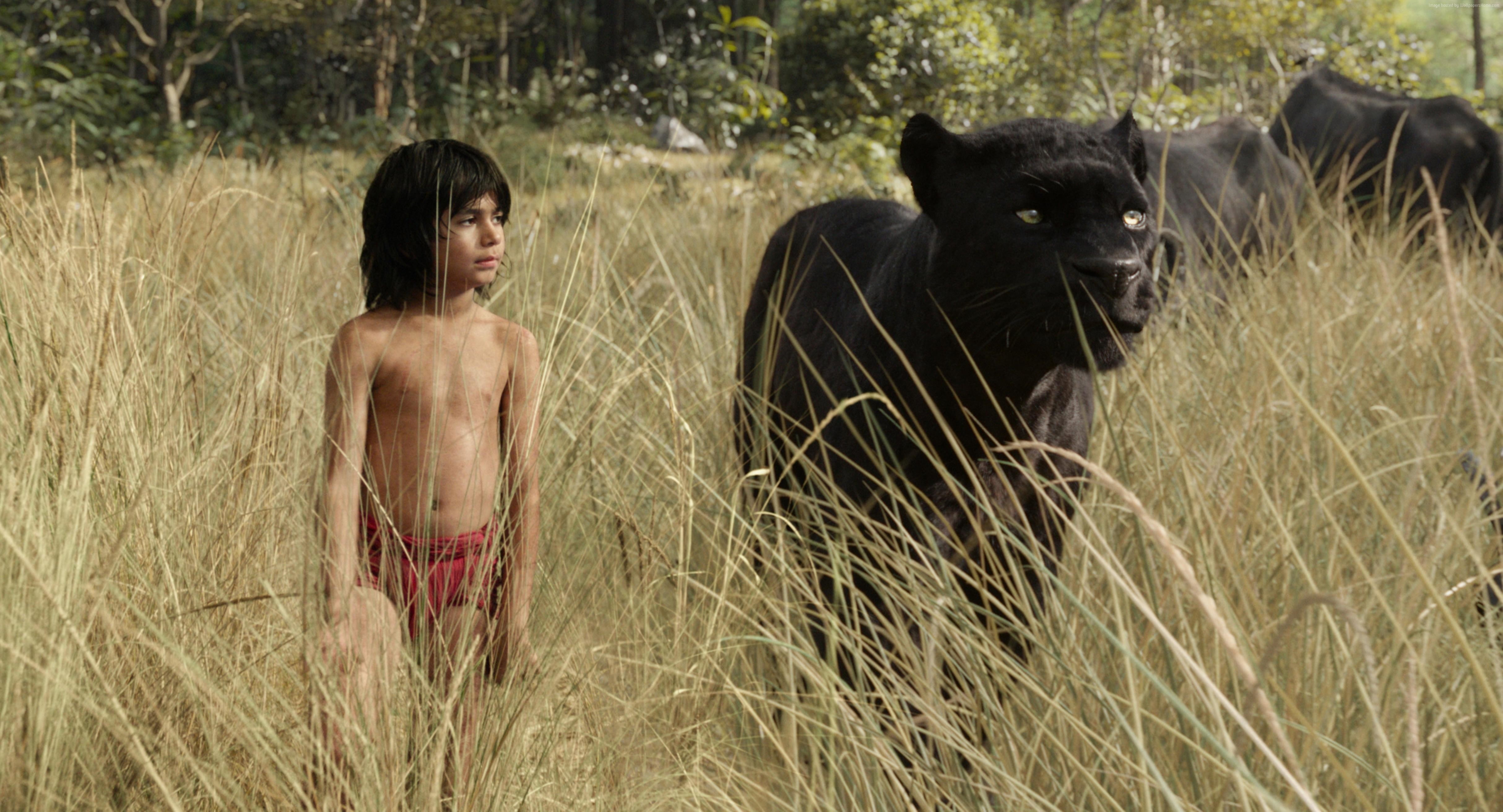 fantasy, Mowgli, Bagheera, The Jungle Book, Best movie of 2016
