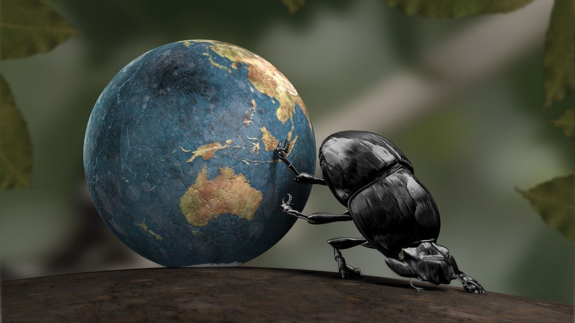 earth insect cgi dung beetle crabs, animal, animal themes, bird