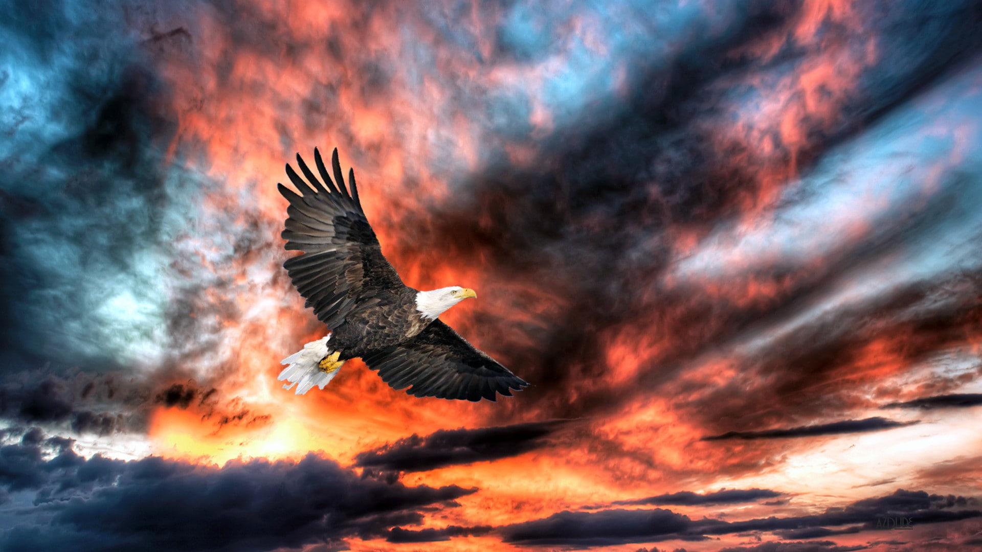 Birds, Eagle