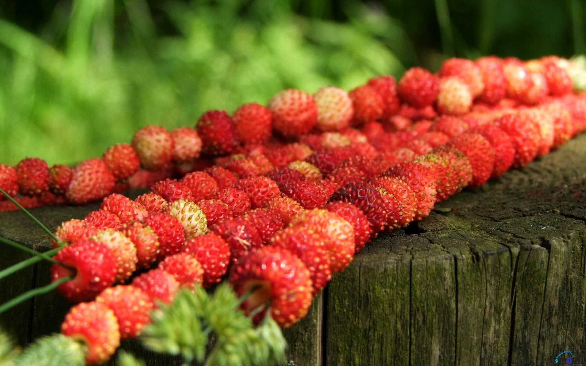 strawberry