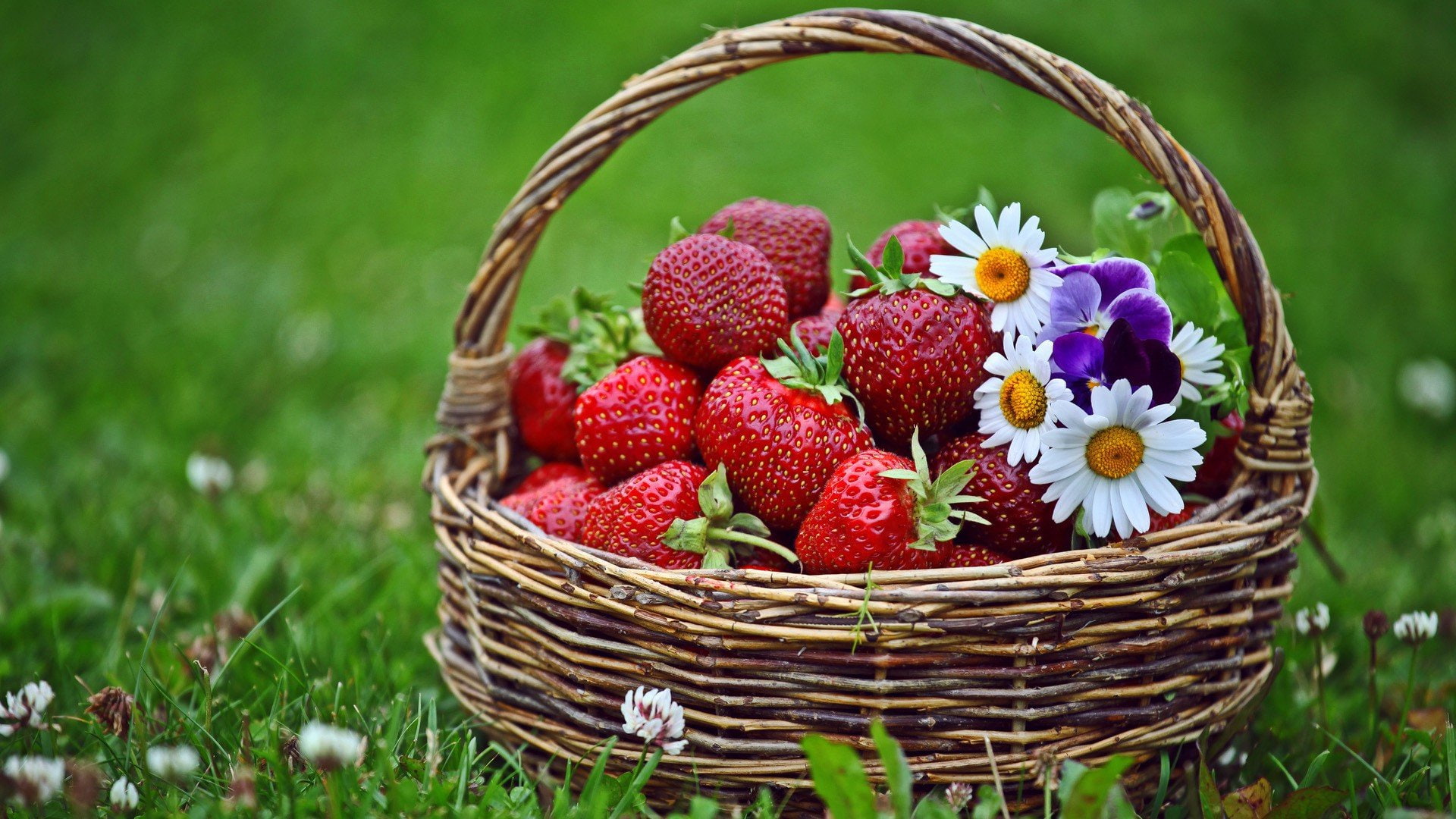 baskets, flowers, grass, spring, strawberries