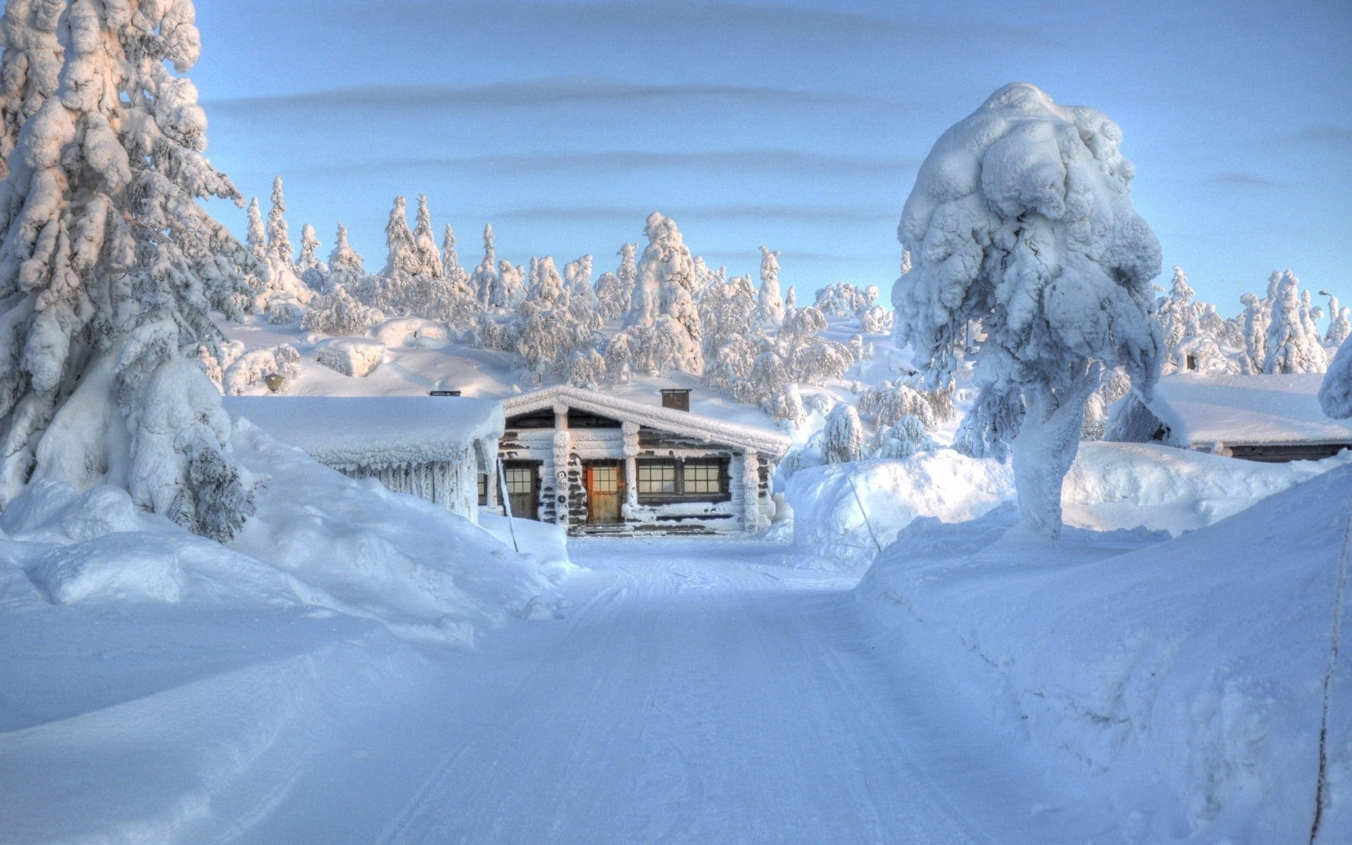 snow covered cabin, wood, snowdrifts, tree, attire, house, winter