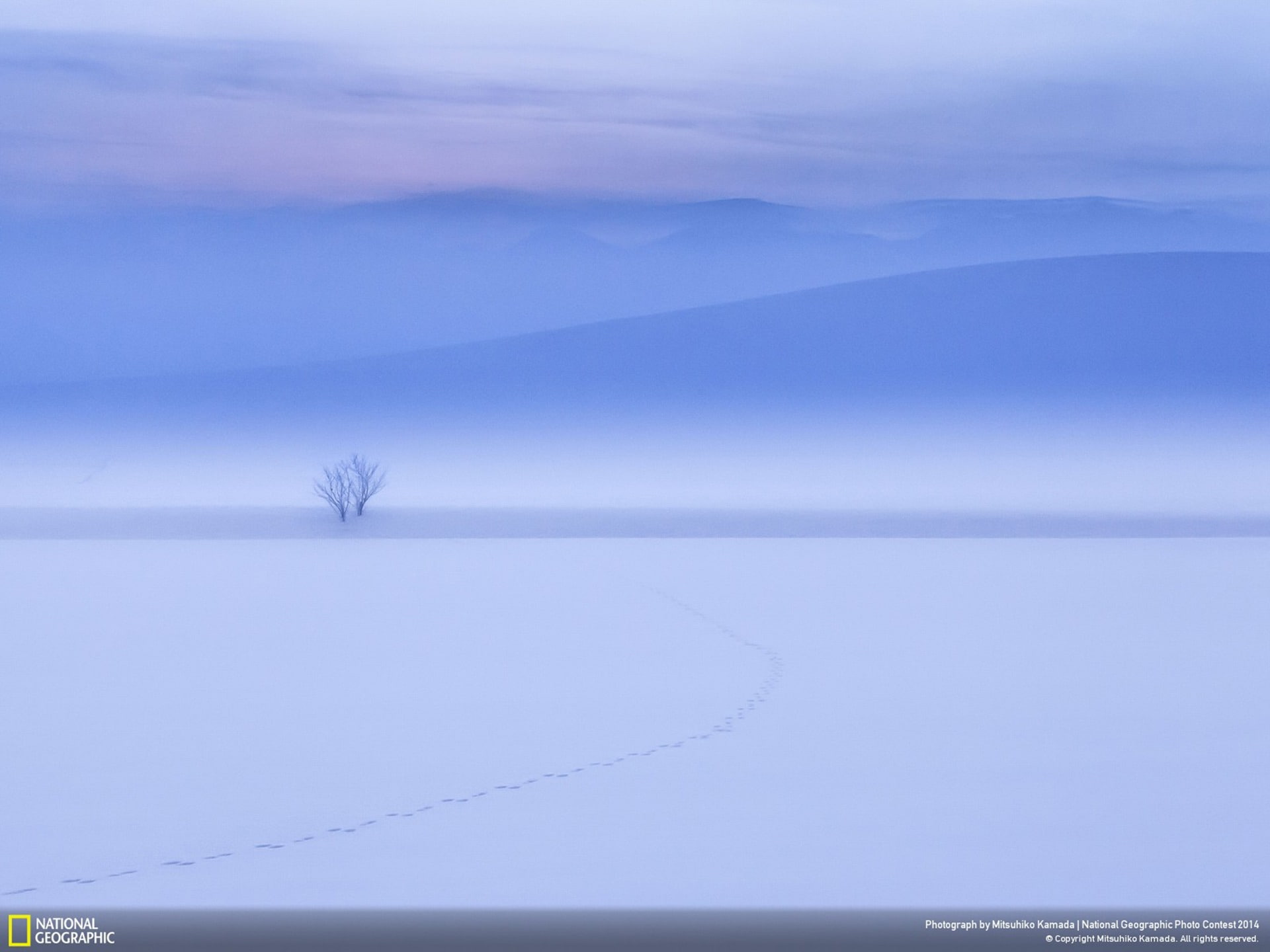 Biei Hokkaido JAPAN-National Geographic Wallpaper, snow covered ground under clouded sky National Geographic TV show still
