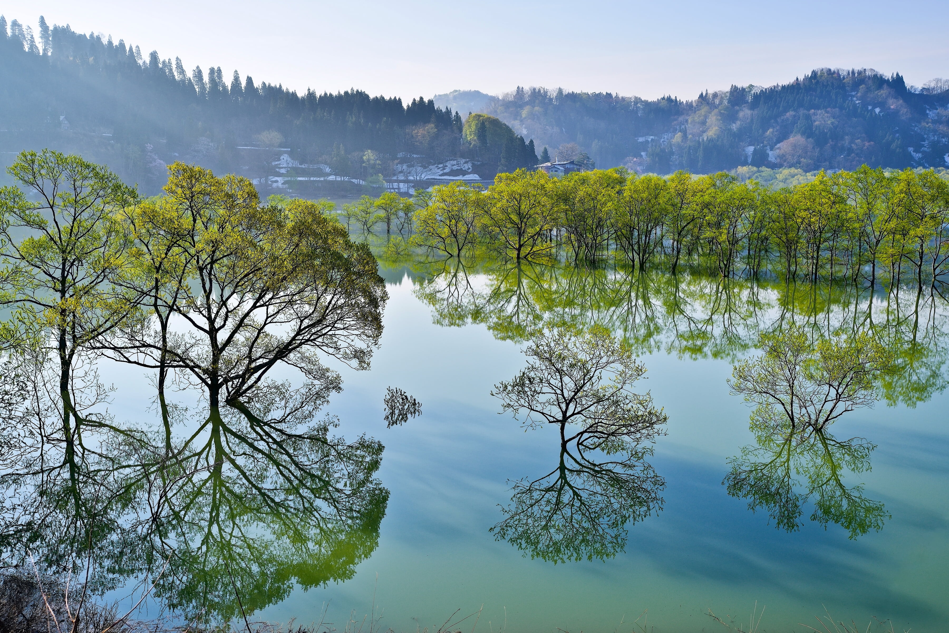 trees, lake, reflection, Japan, Yamagata, Iide, Its Shirakawa