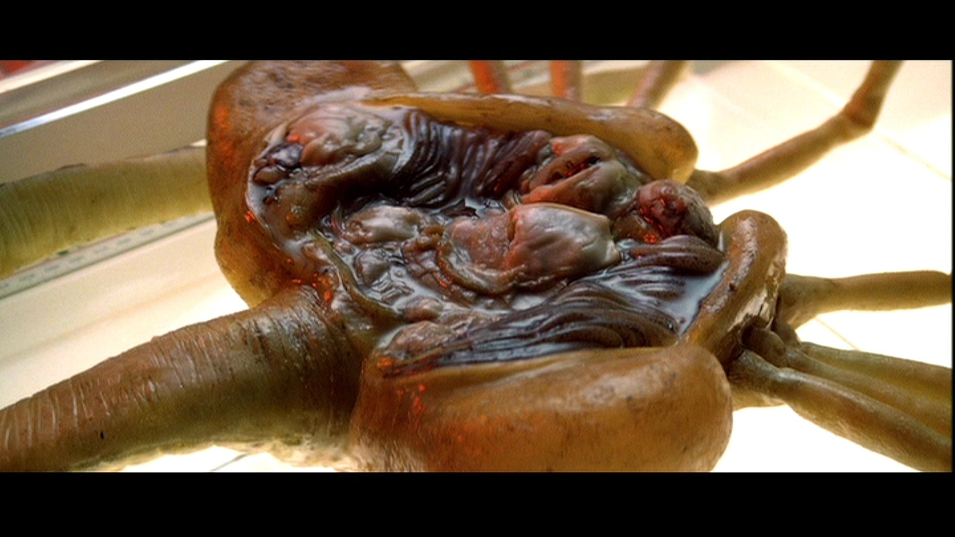 Alien