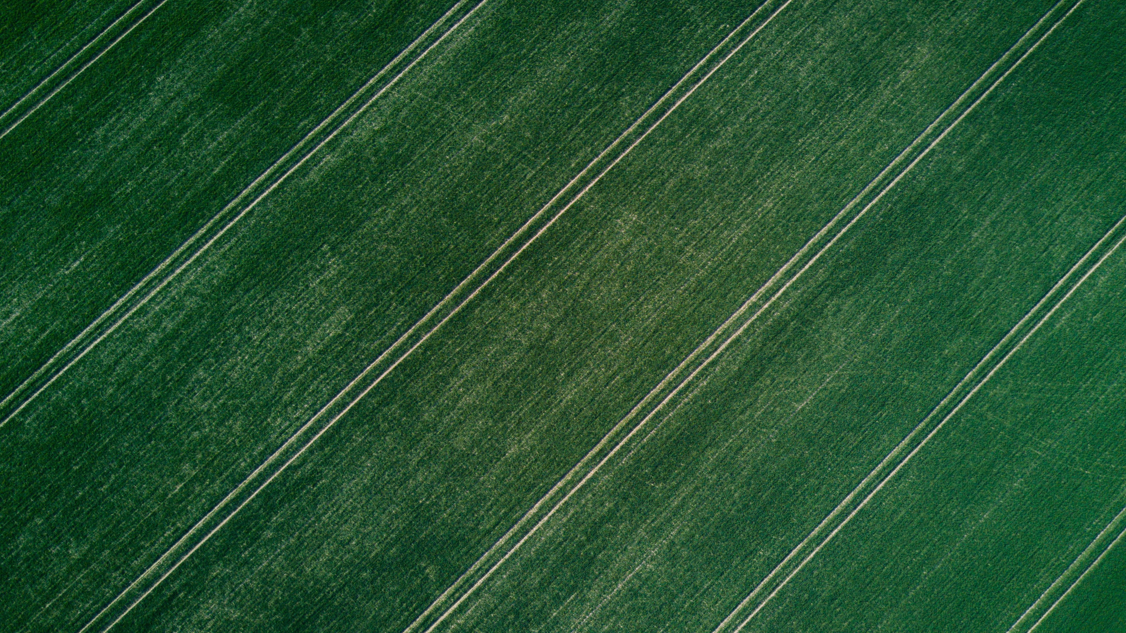 photography, grass, field, aerial view, landscape, symmetry