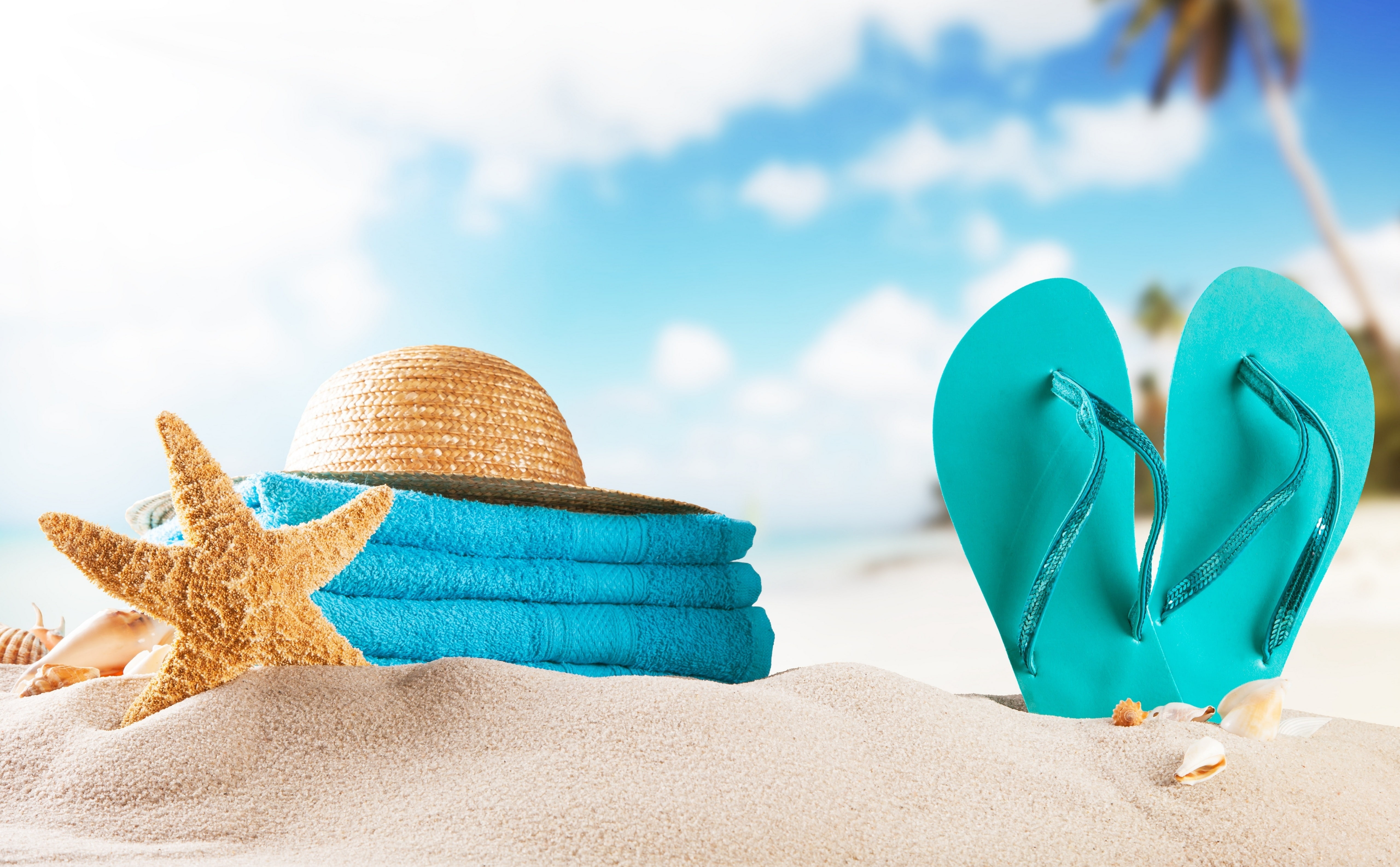 Summer Beach Background, Seasons, Sand, Starfish, Relax, Holiday