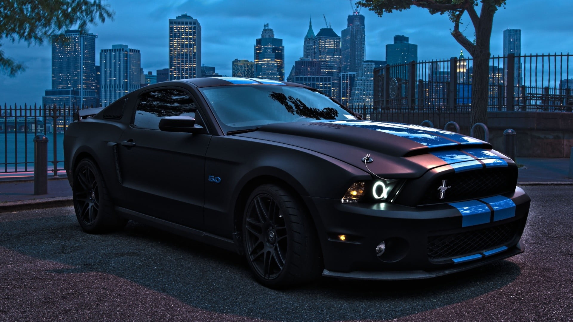 black coupe, blue and maroon Ford Mustang coupe on road during nighttime