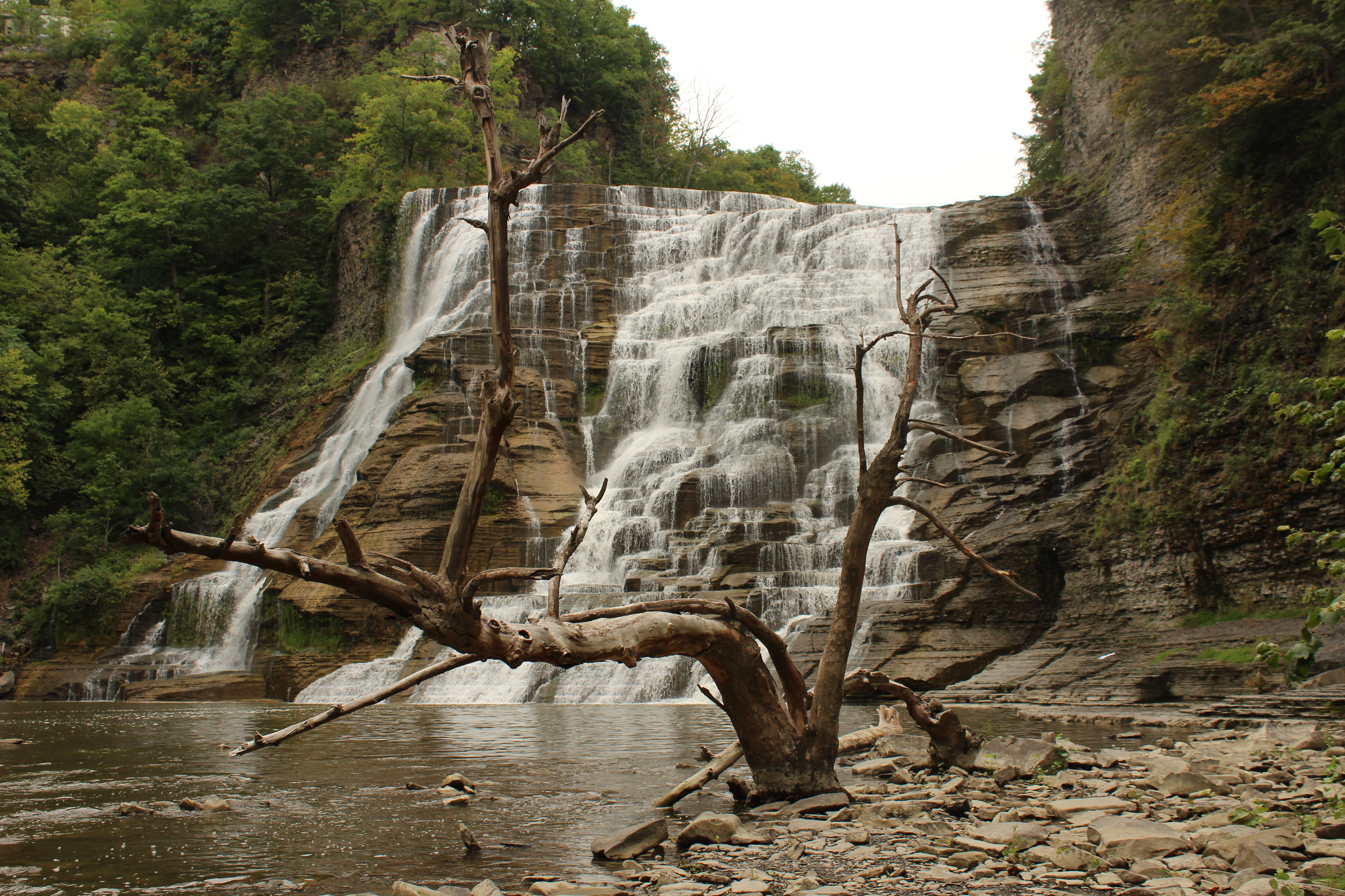 waterfalls under white sky, New York state, dead trees, landscape