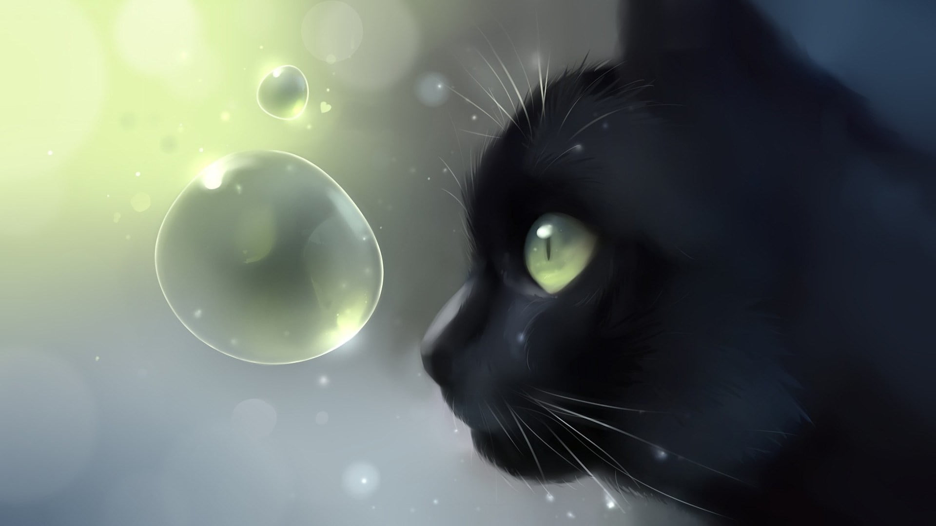 black cat illustration, closeup photo of black cap near clear bubble