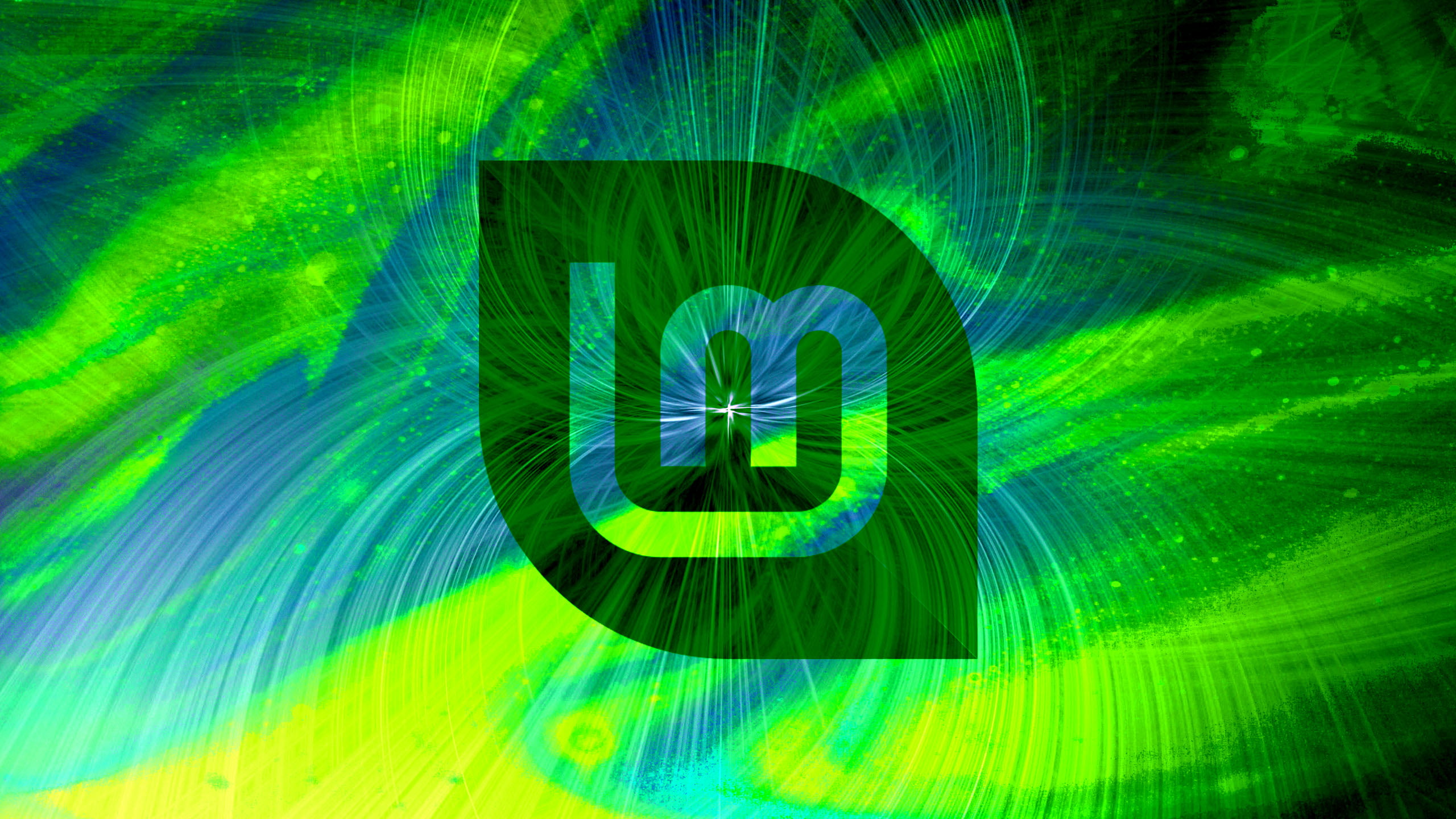 Linux Mint, technology, computer