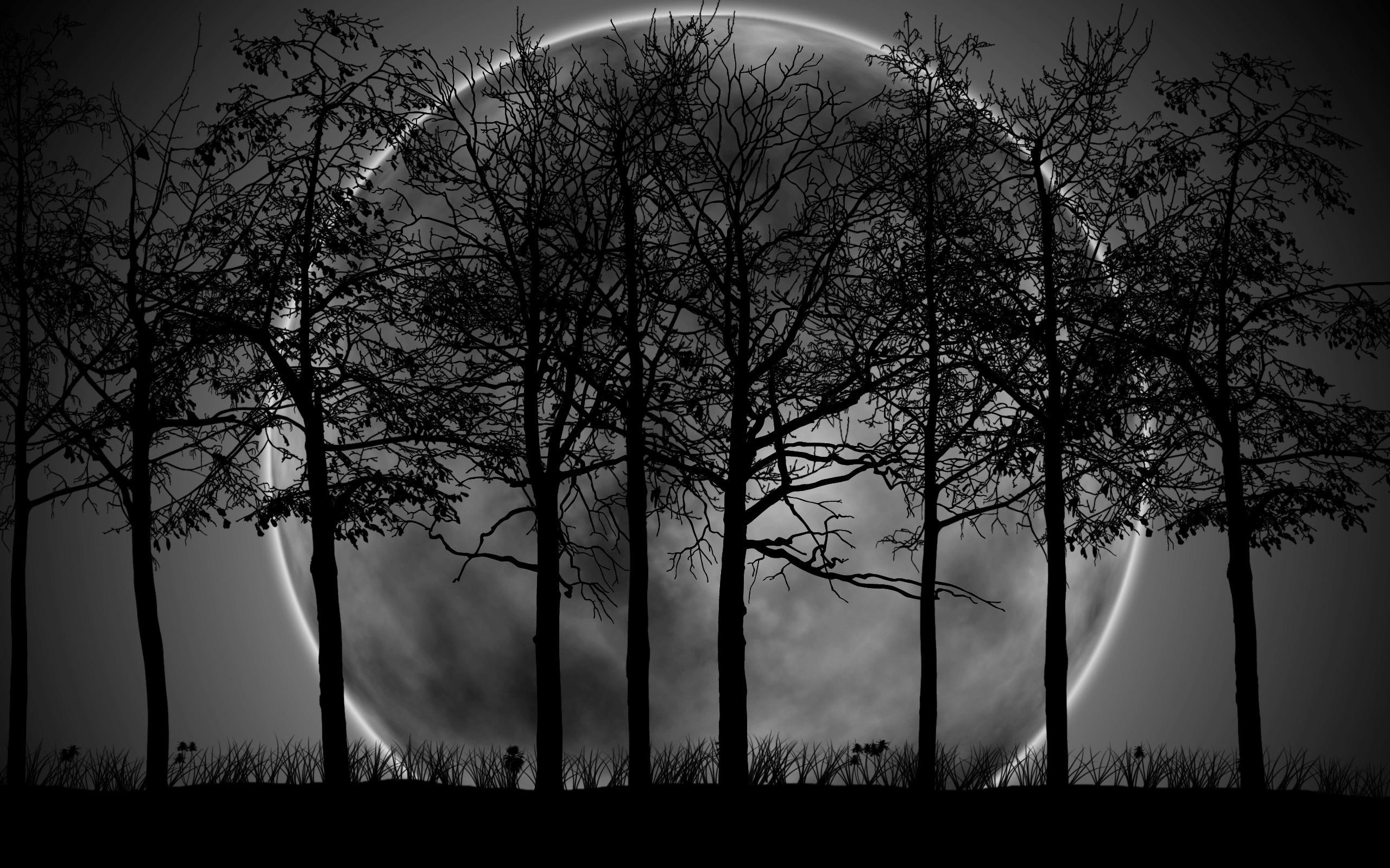 Forest Moon, trees, black, grass, white, 3d and abstract