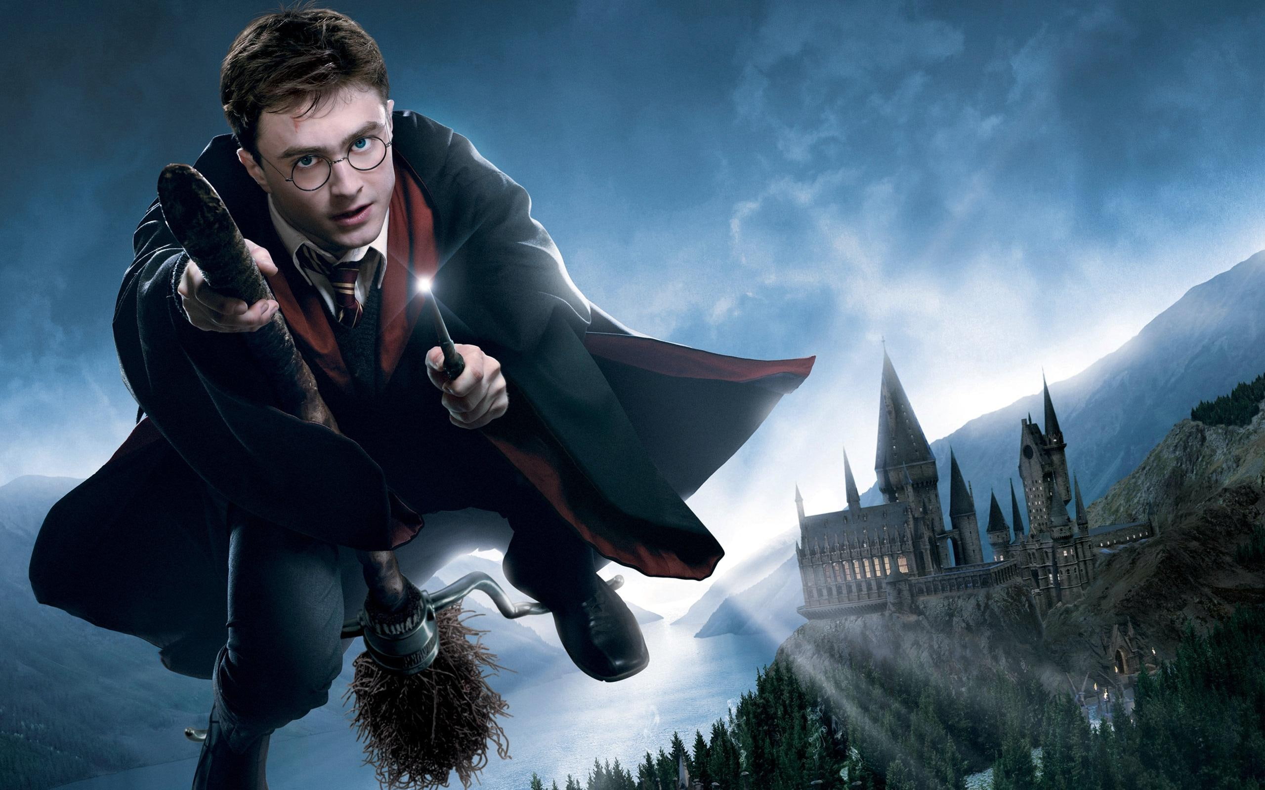 Harry Potter Daniel Radcliffe, harry potter illustration, movies