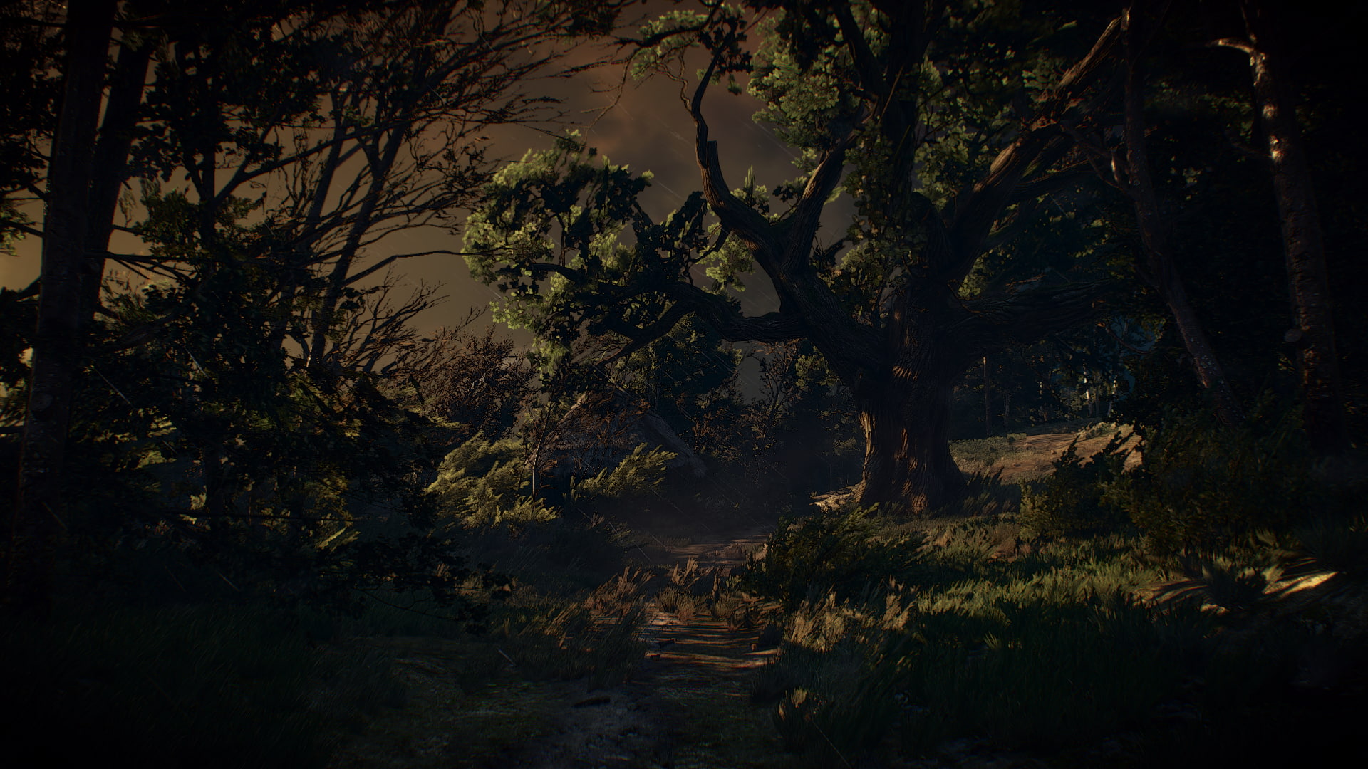 The Witcher 3: Wild Hunt, video games, tree, plant, forest