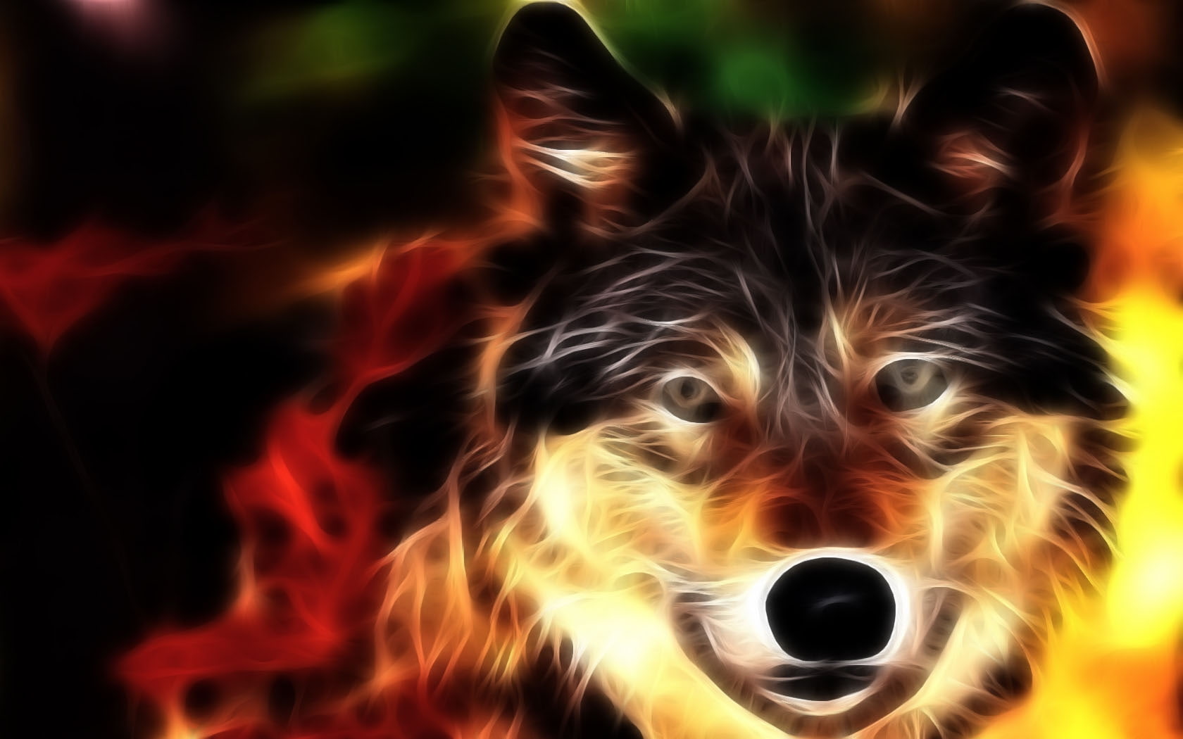 Wolf, Face, Light