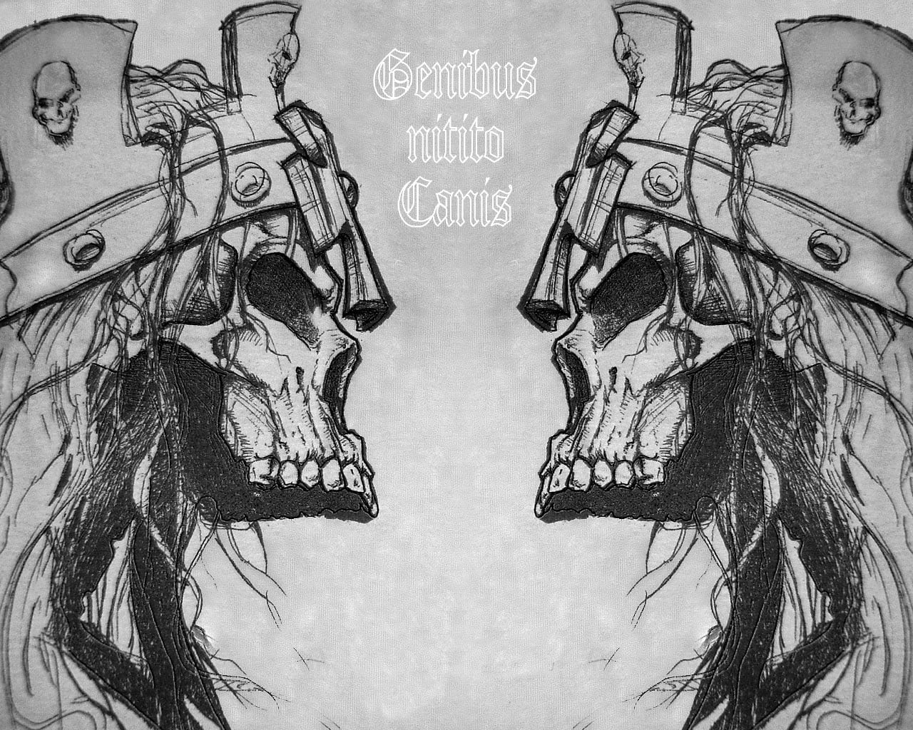 Genibus nitito canis sketch, skull, monochrome, fantasy art, text