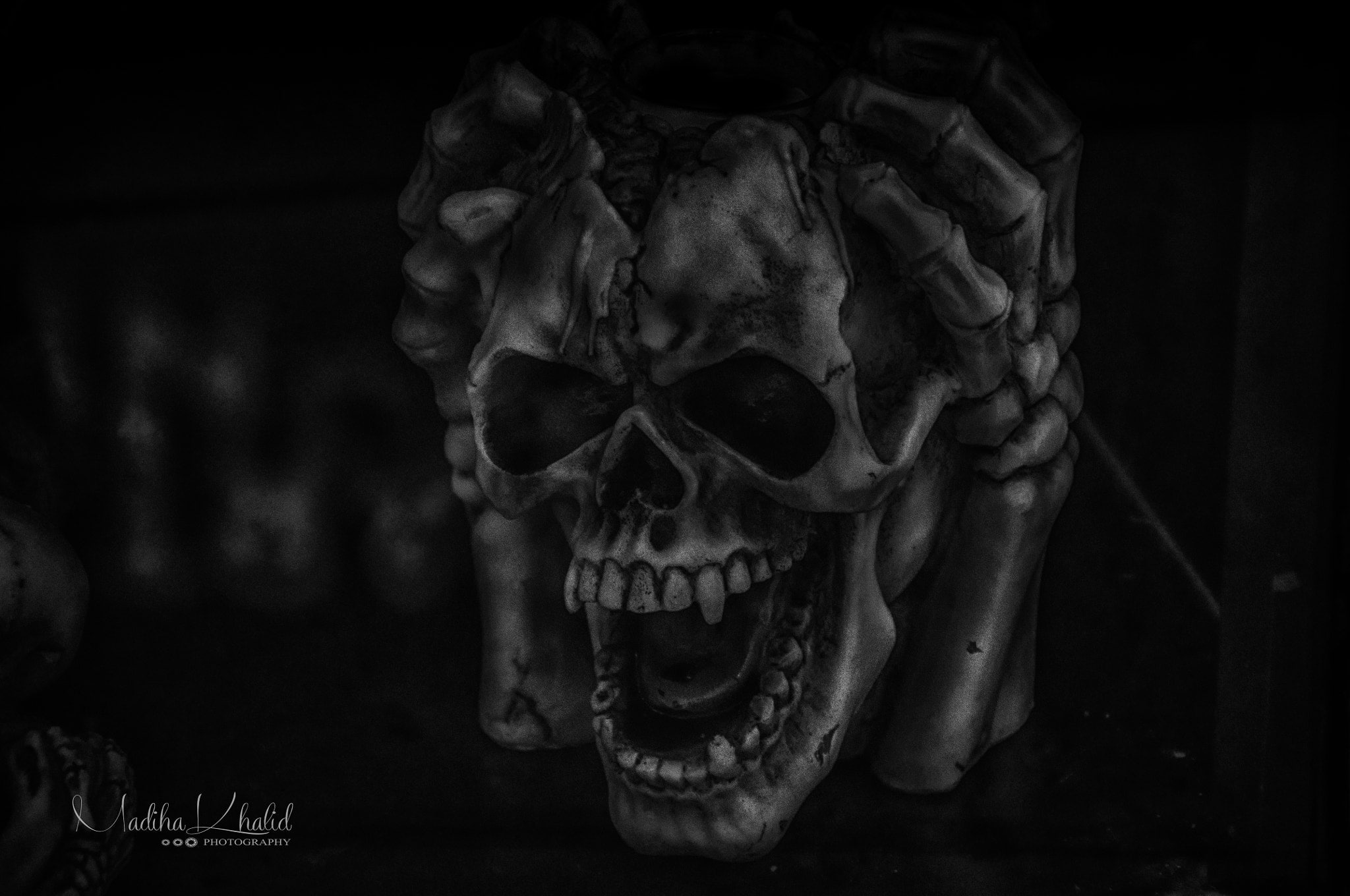 Madiha Khalid, 500px, skull, dark, monochrome
