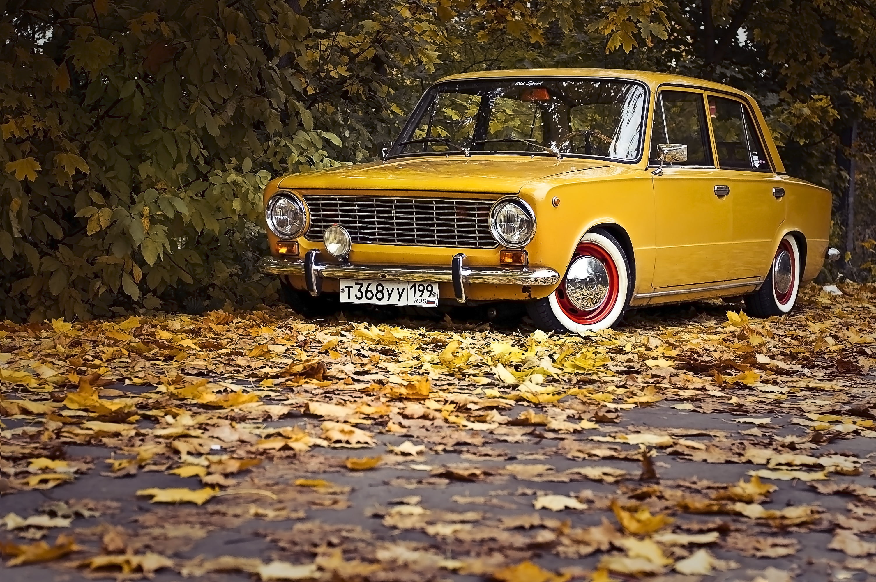 classic brown sedan, road, auto, autumn, leaves, retro, Wallpaper