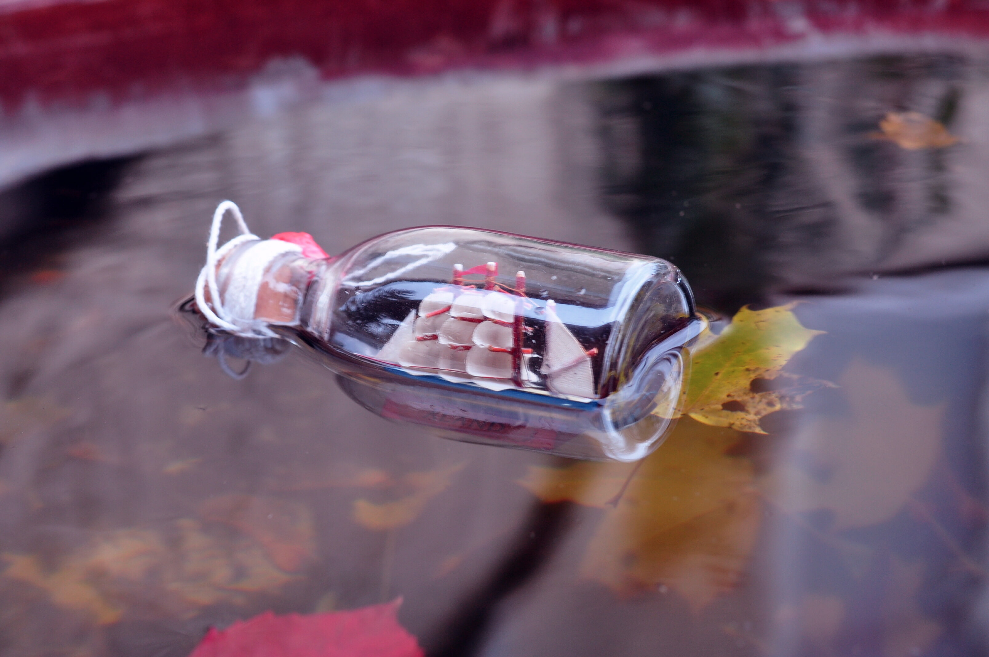 leaves, river, ship, bottle