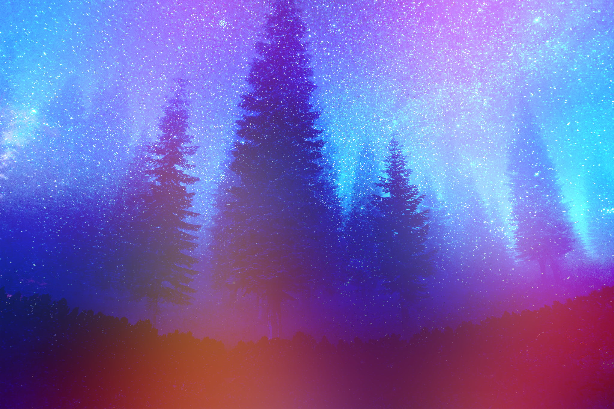 night, forest, constellations, mist, nature, stars, colorful