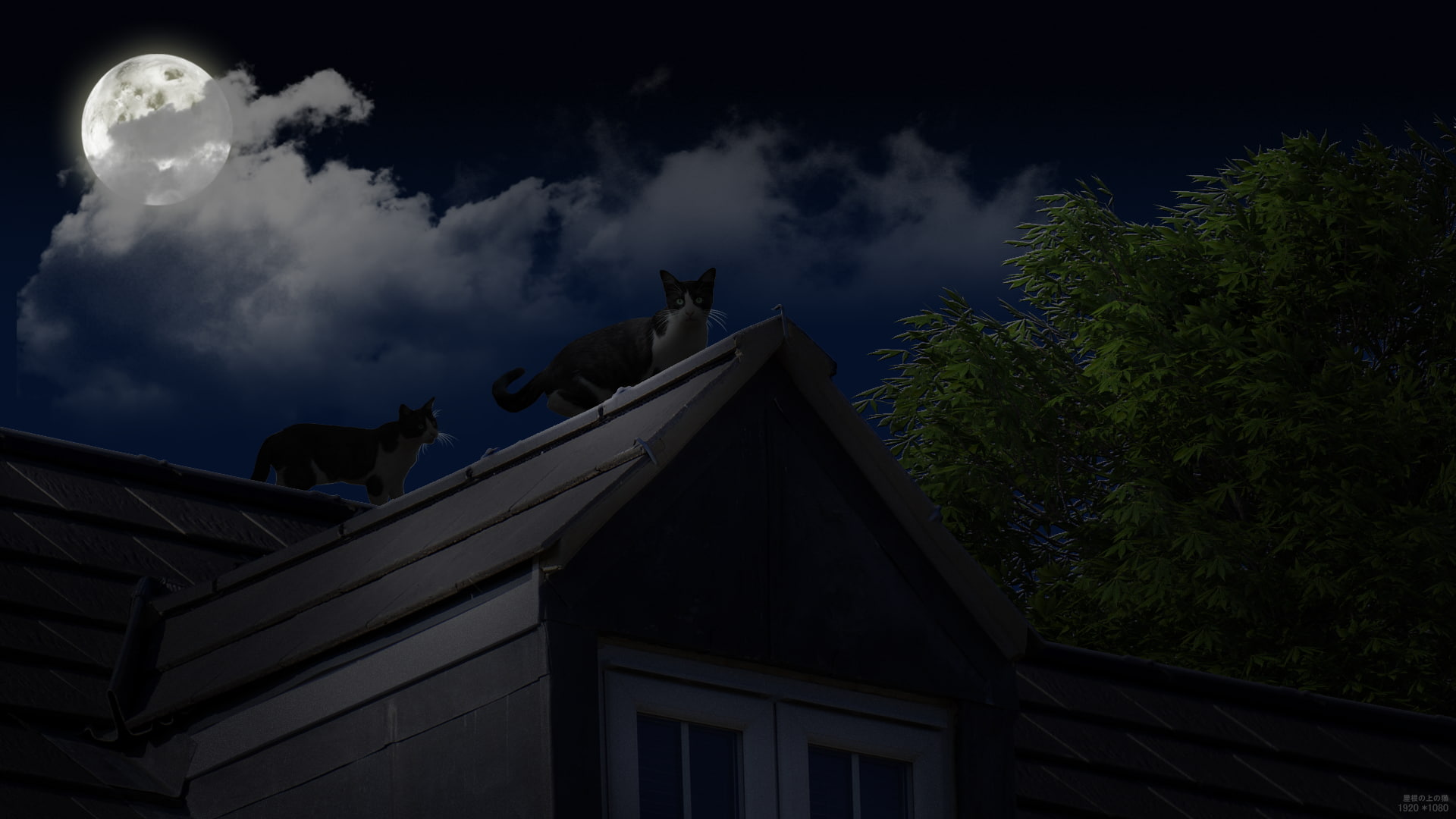 cat, architecture, built structure, building exterior, sky