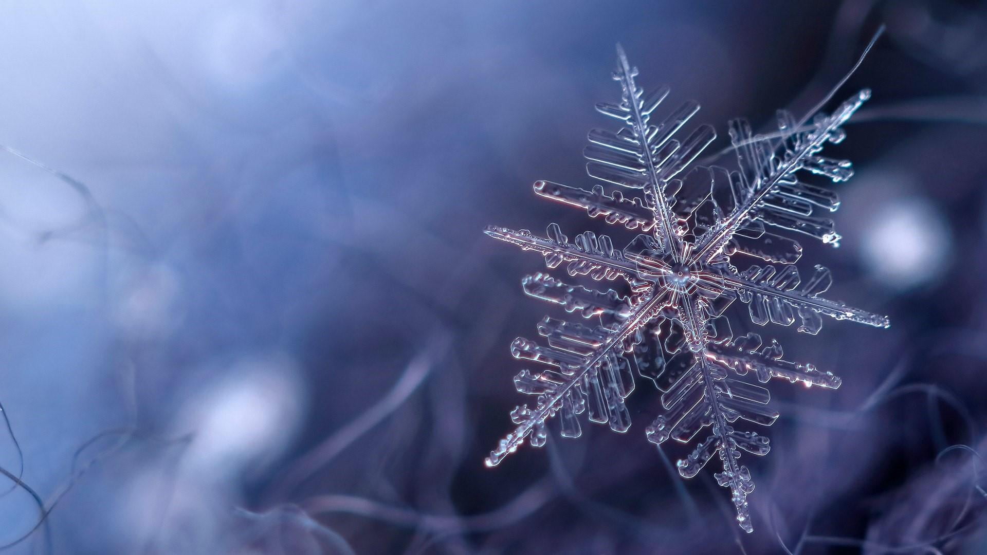 snowflake, blue, frost, freezing, winter, frozen, macro, cold