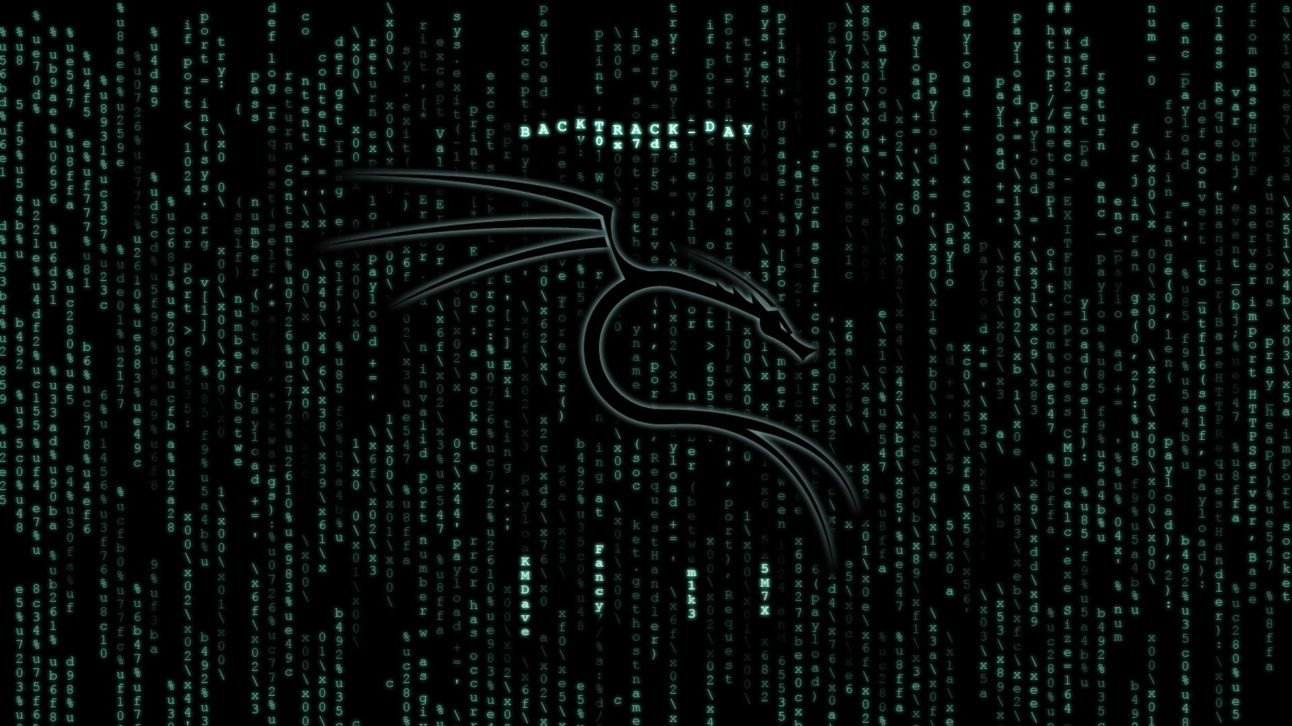 anarchy, computer, hacker, hacking, internet, sadic, virus