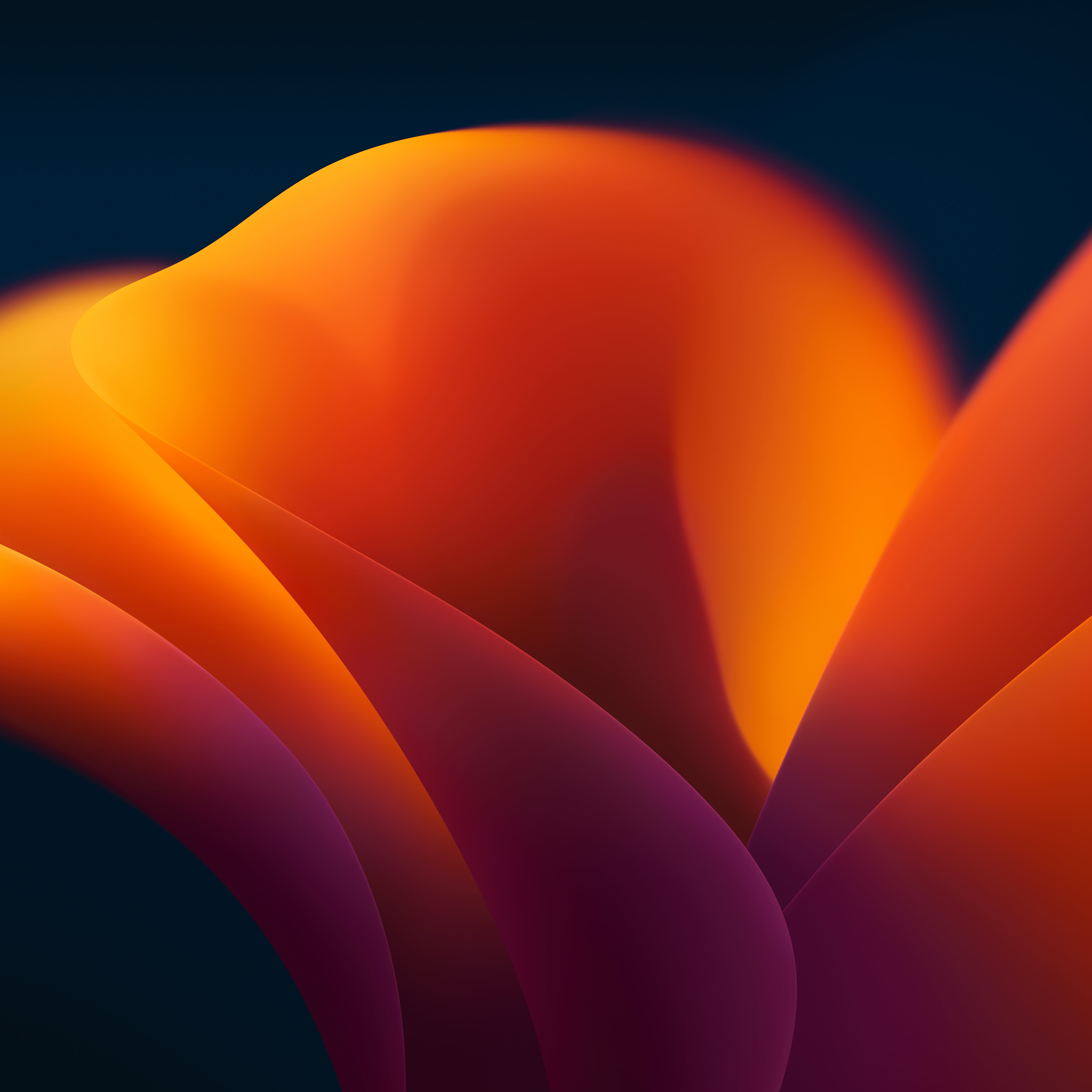 Mac OS X, MacOS Ventura, colorful, orange background, flowers