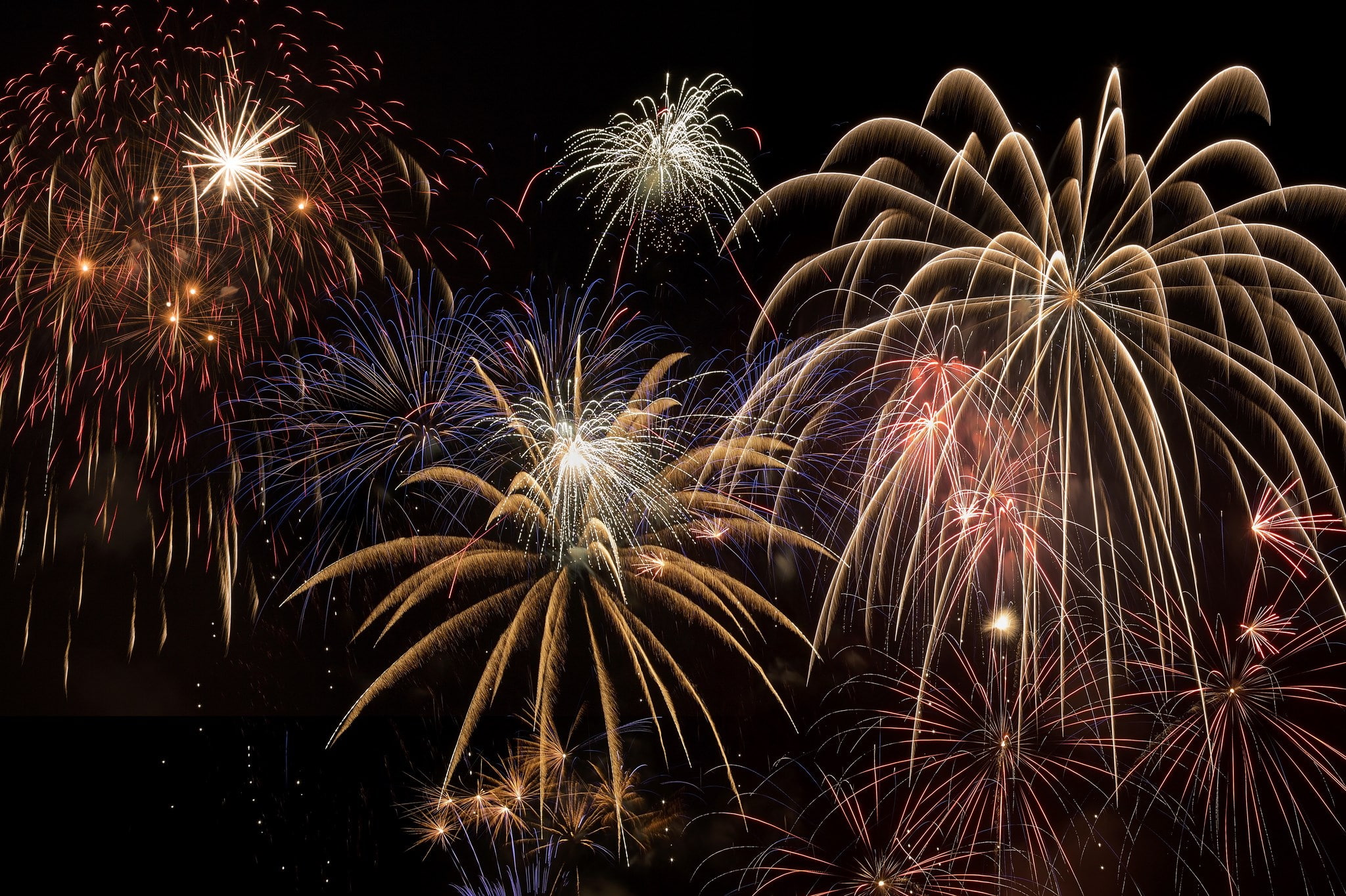 fireworks, night, illuminated, firework display, motion, celebration