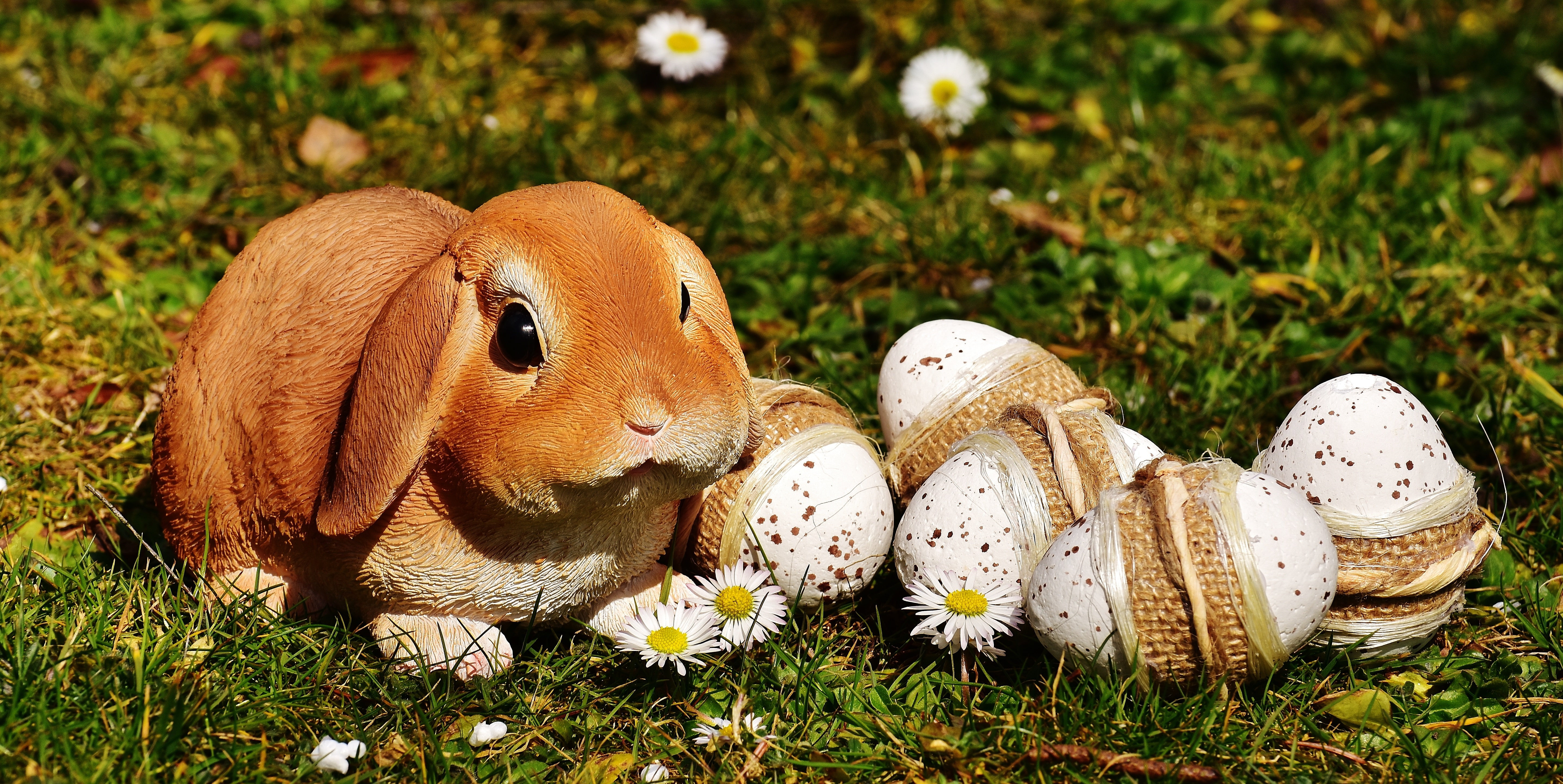 Easter, Rabbit, Eggs