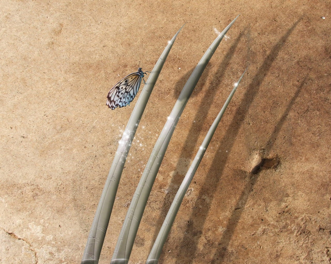 shadow, Butterfly, blade