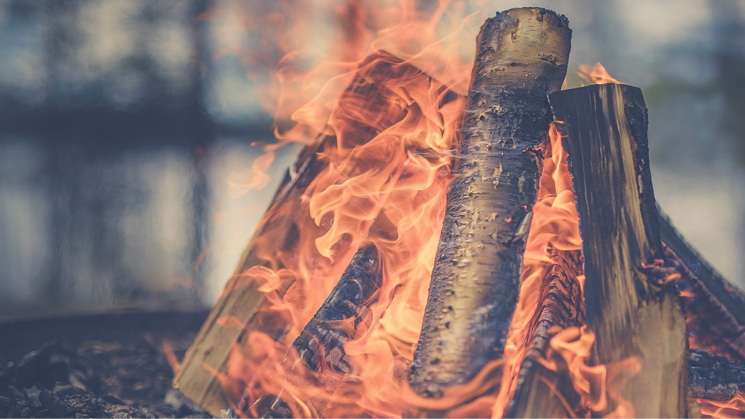 log, fire, campfire