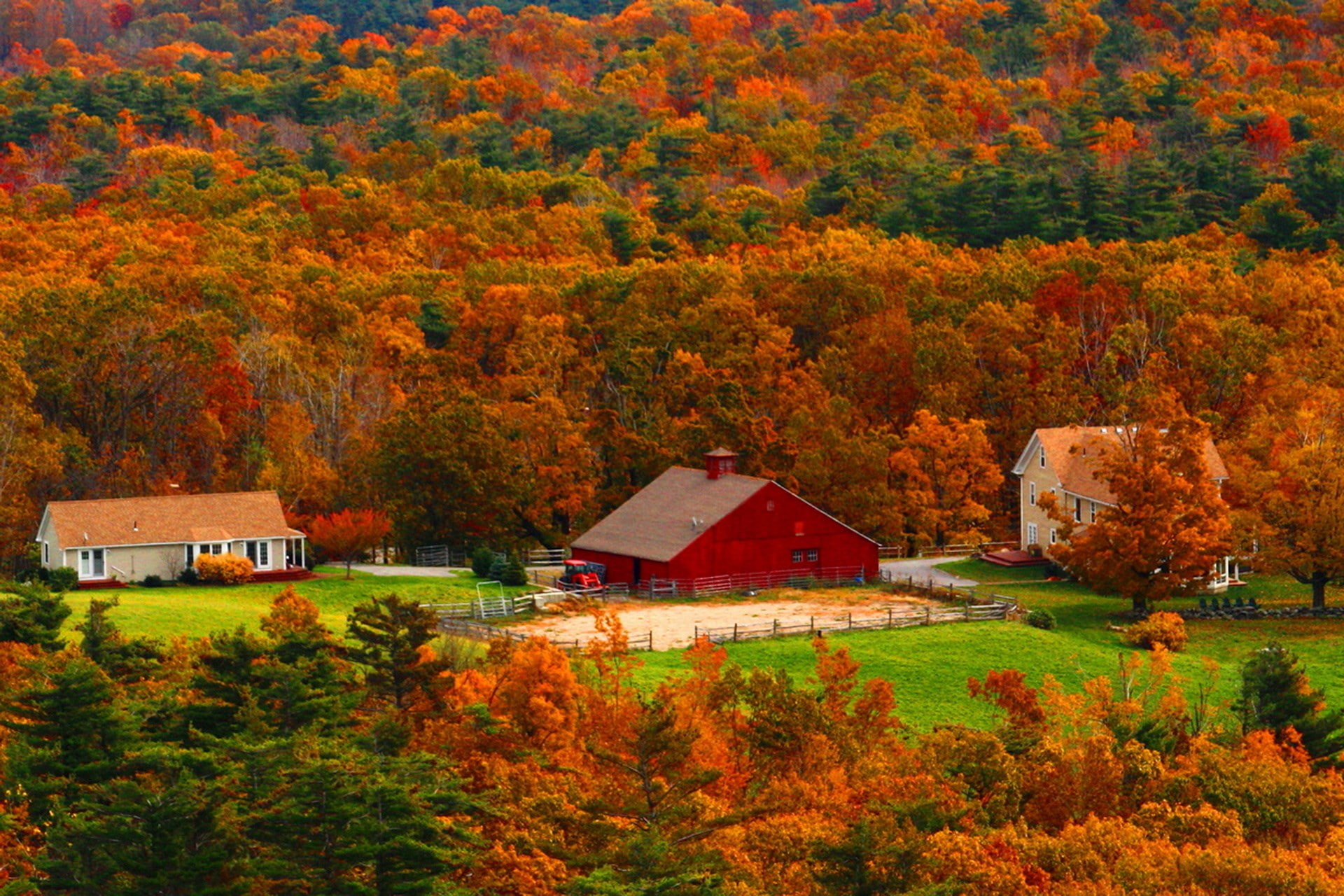 barn, plant, change, tree, autumn, architecture, built structure