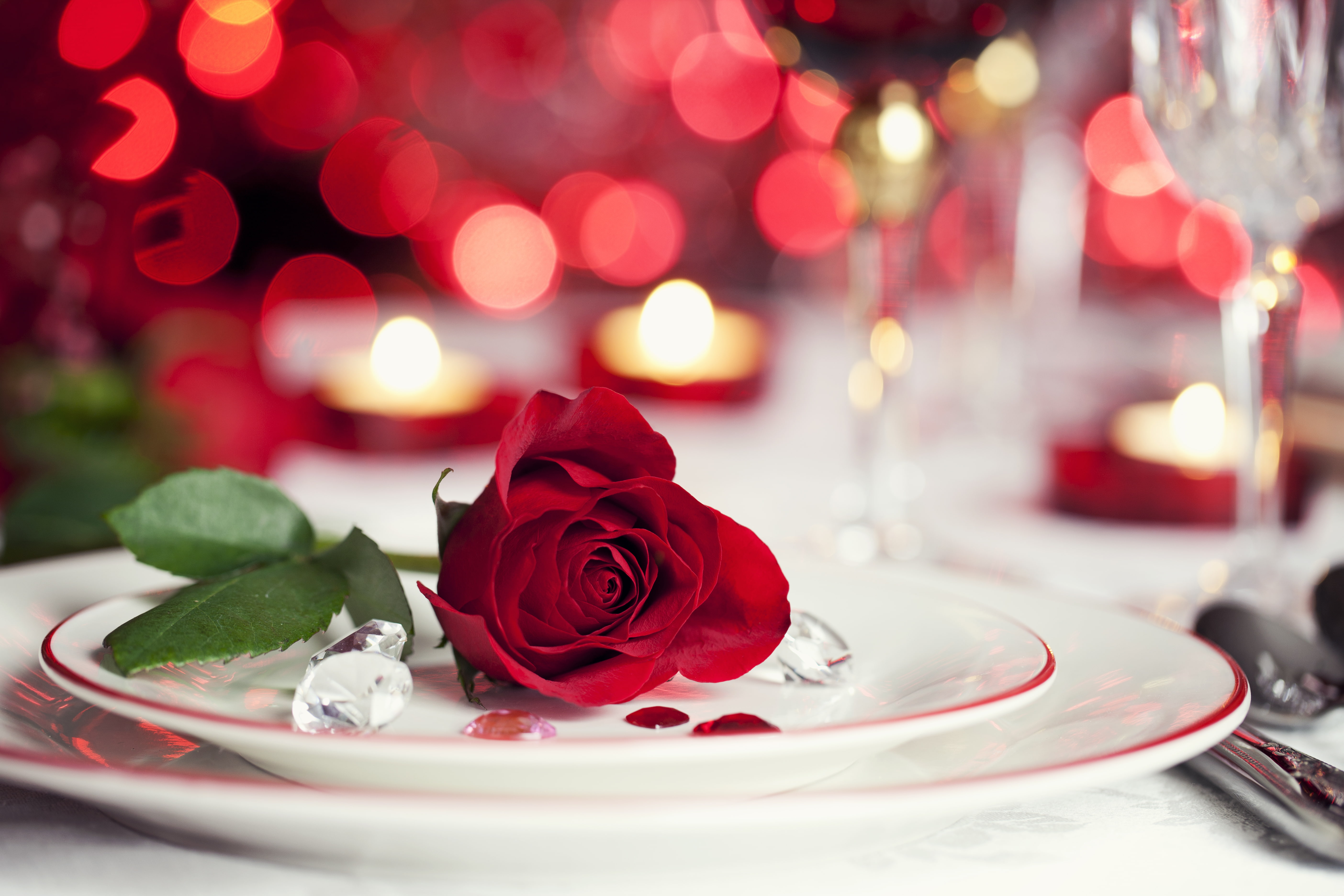 red rose flower, flowers, roses, candles, rose - flower, plant