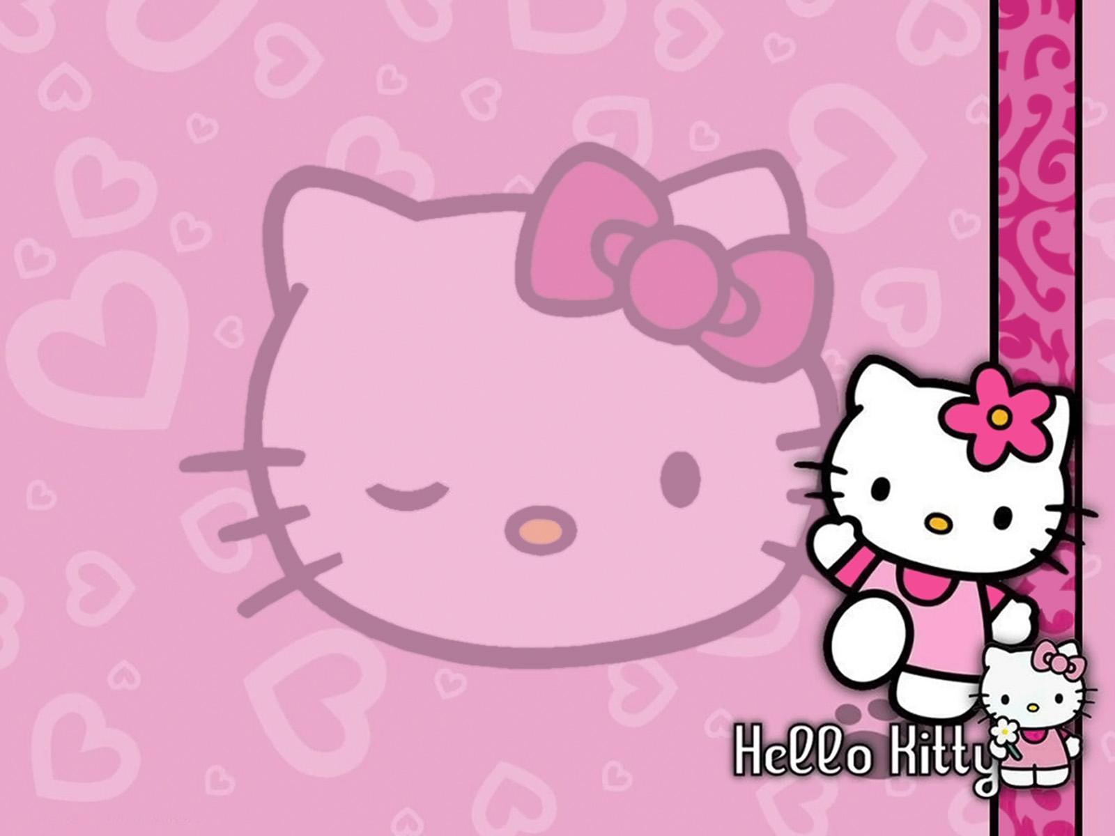 kitty