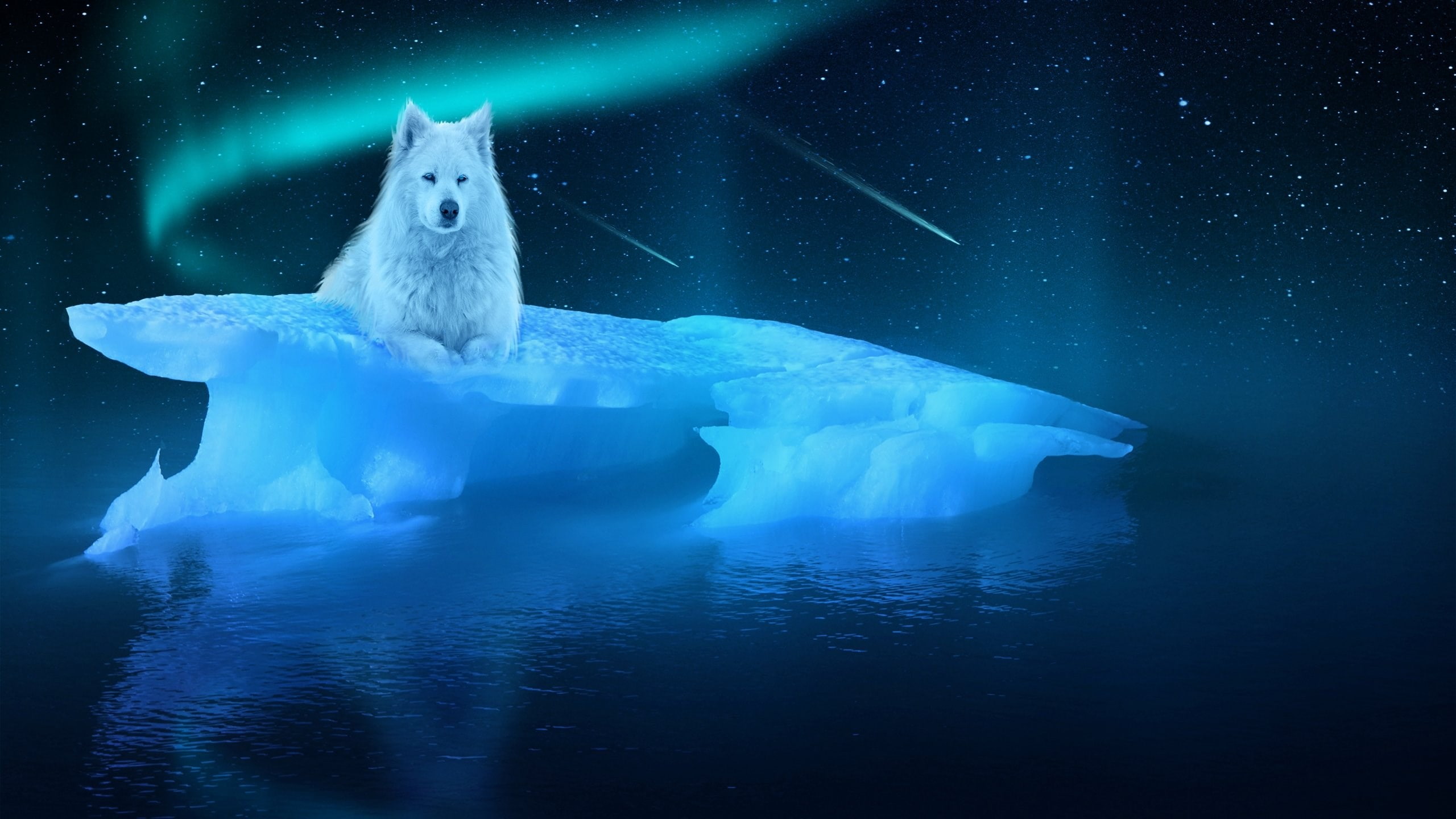 wolf