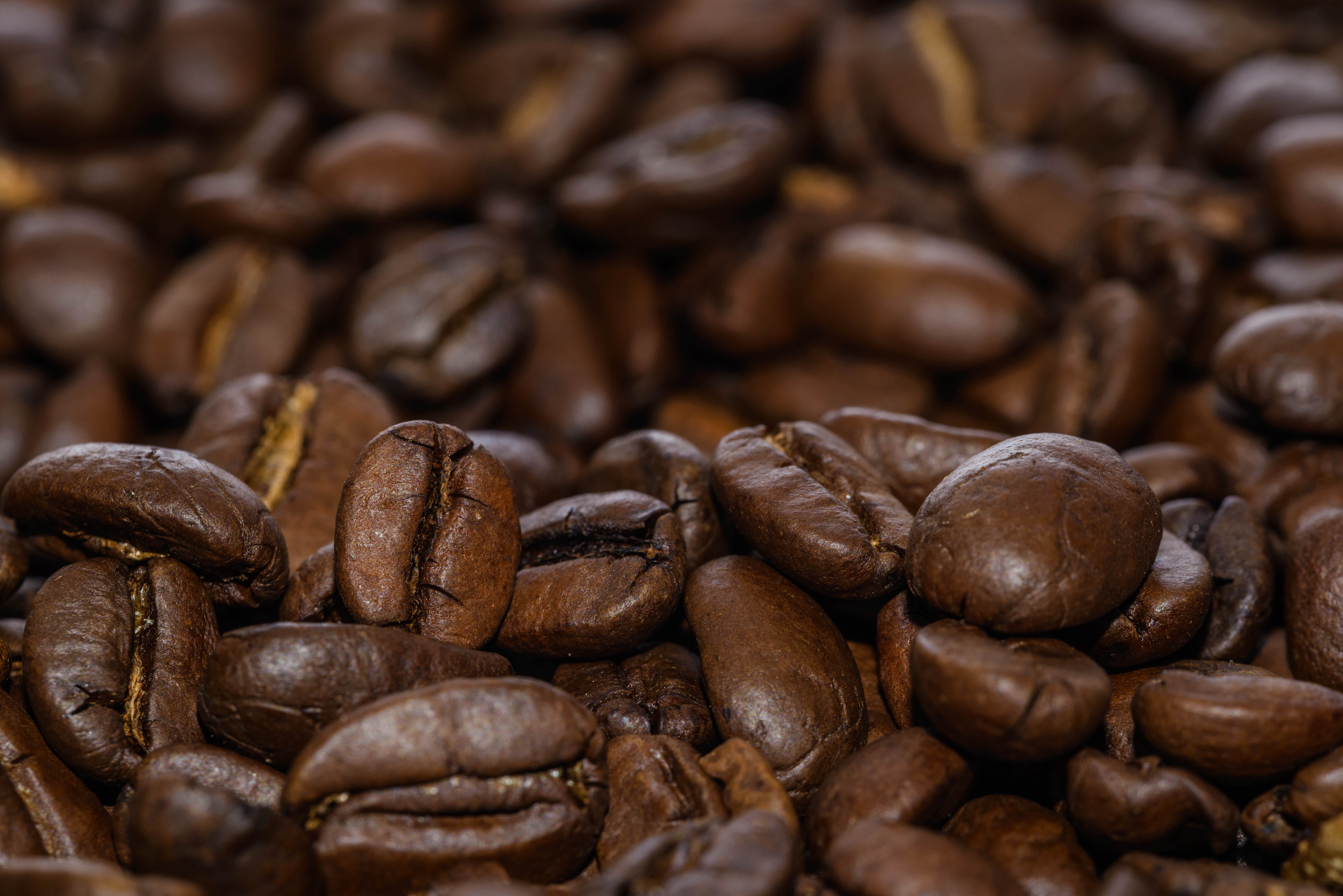 coffee beast lot, Coffee Beans, seeds, java  beans, drink, kaffe