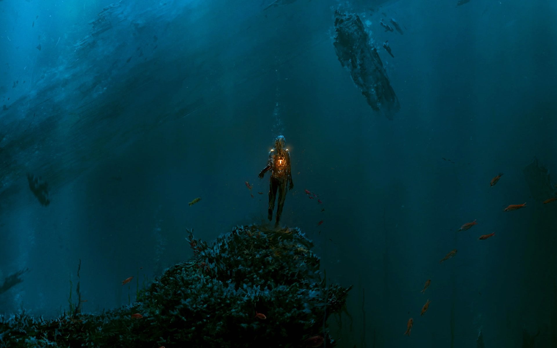 person ding underwater near fishes, Fantasy, Ocean, sea, swimming