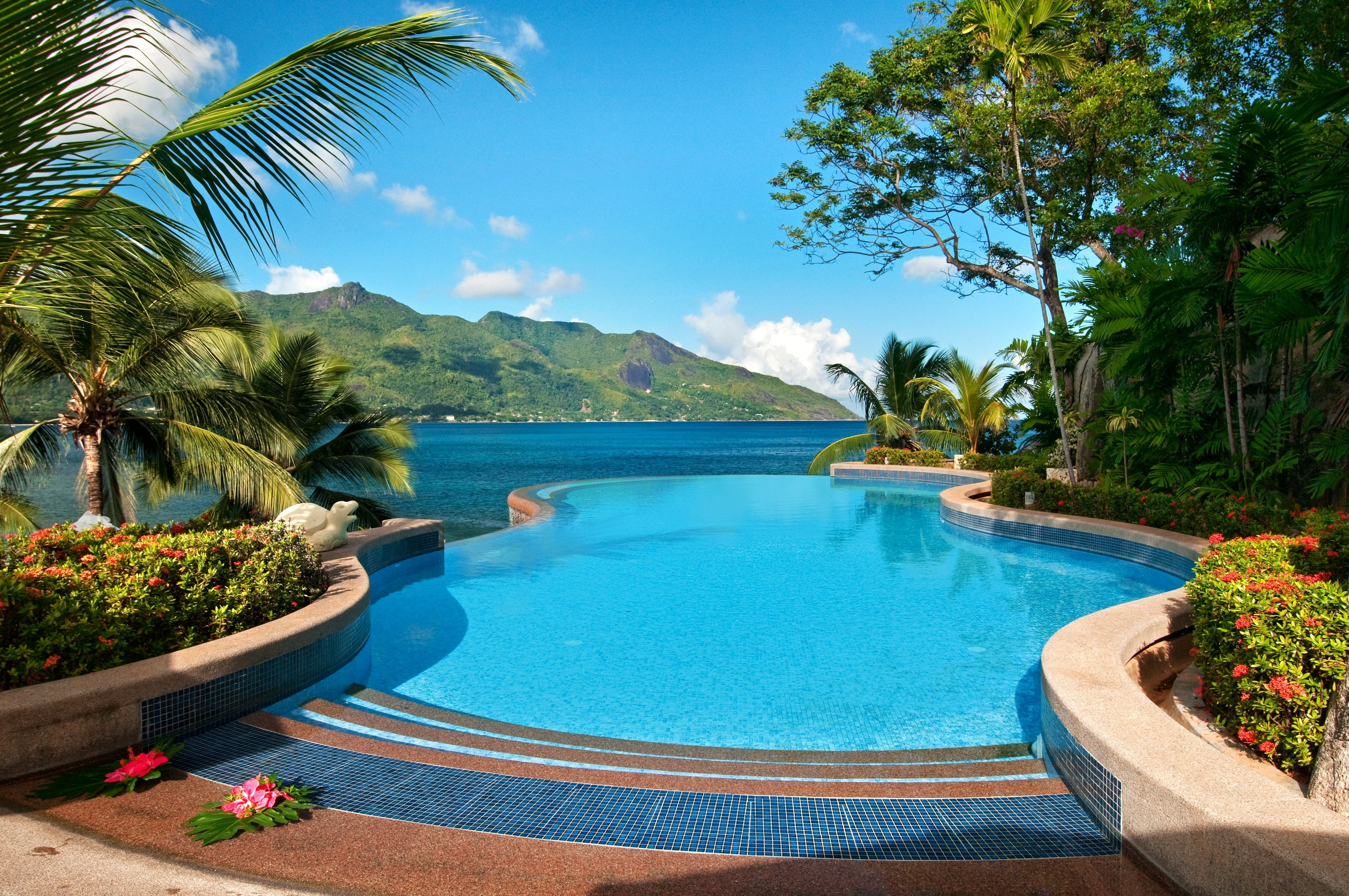 palm trees, tropics, sea, swimming Pool, luxury, blue, water