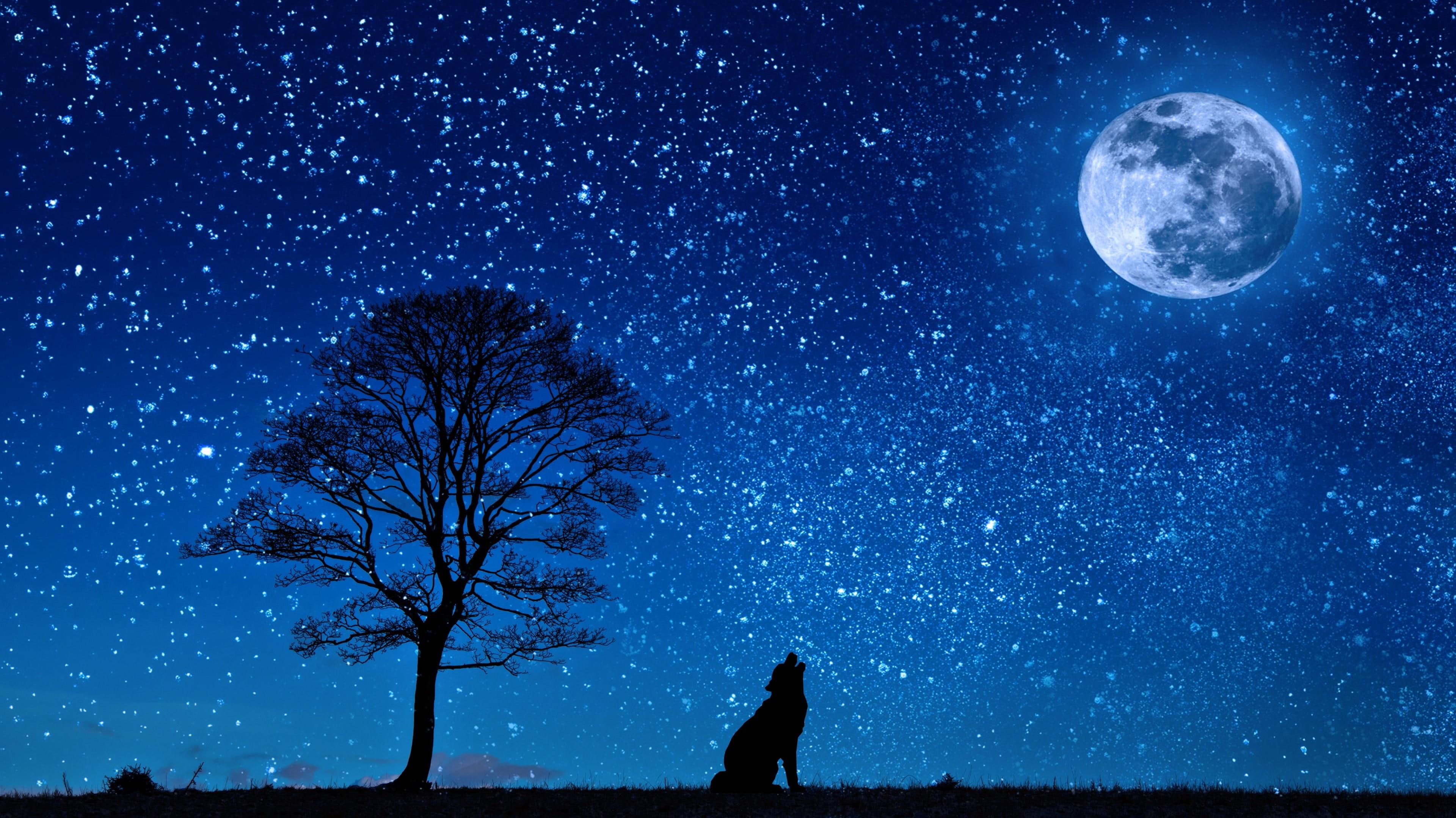 full moon, starry night, night sky, stars, tree, wolf, roar