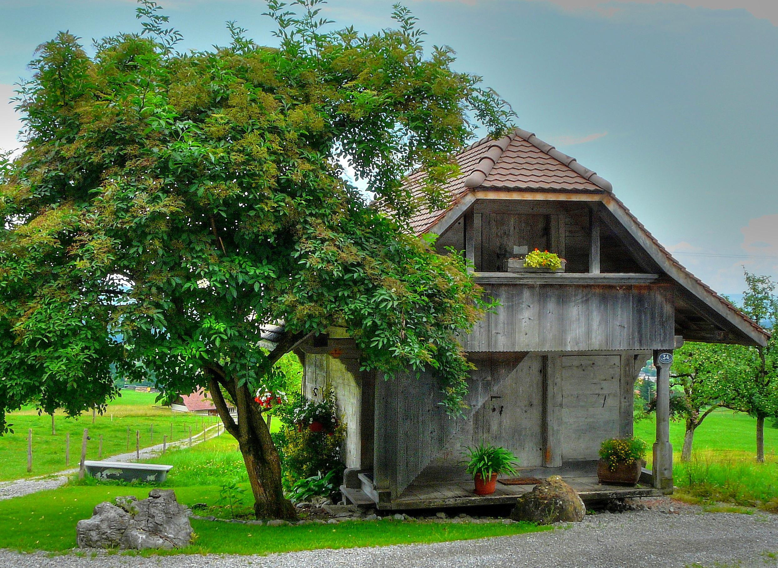 Garret - House- Hdr, colorful, cottage, tree, beautiful, green