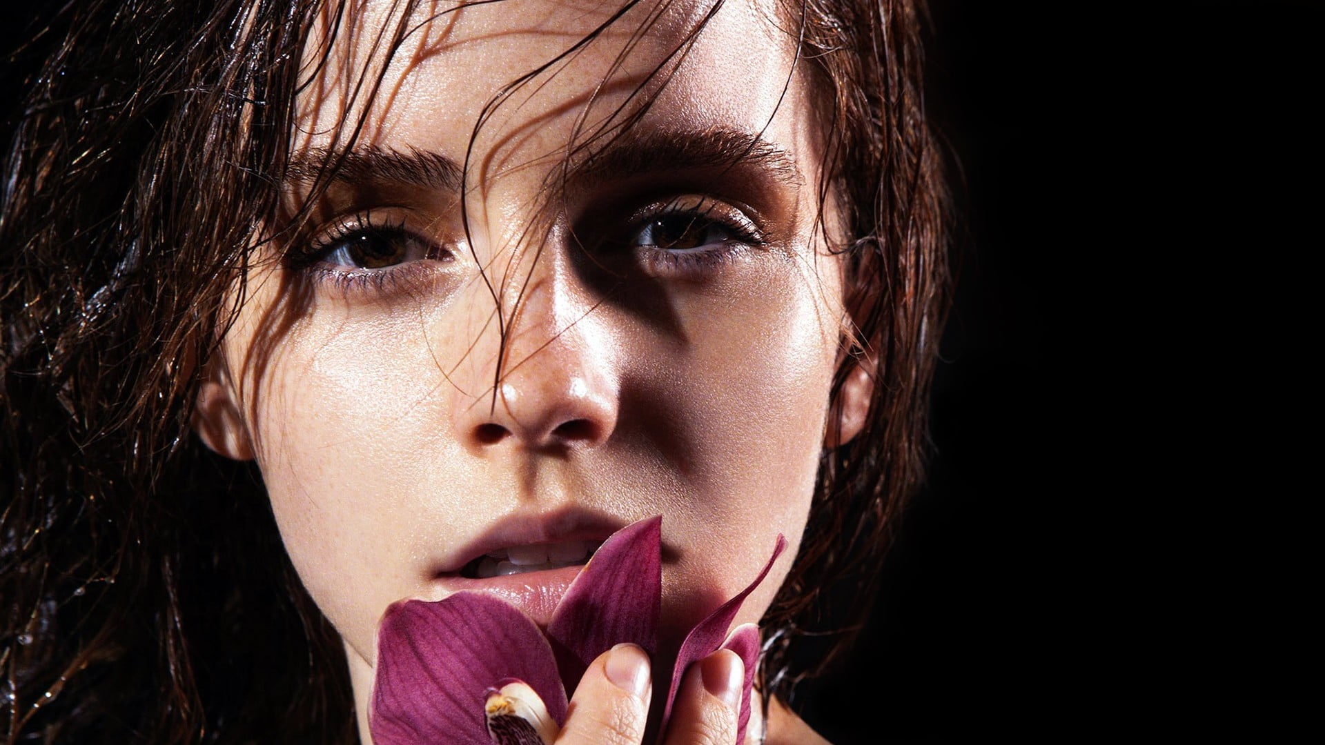 Emma Watson, women, actress, face, one person, headshot, portrait